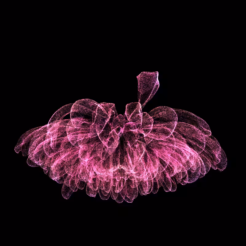 Chrysanthemum Morifolium 30 #113