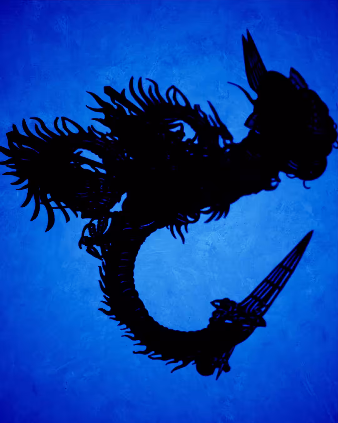 Shadow 6