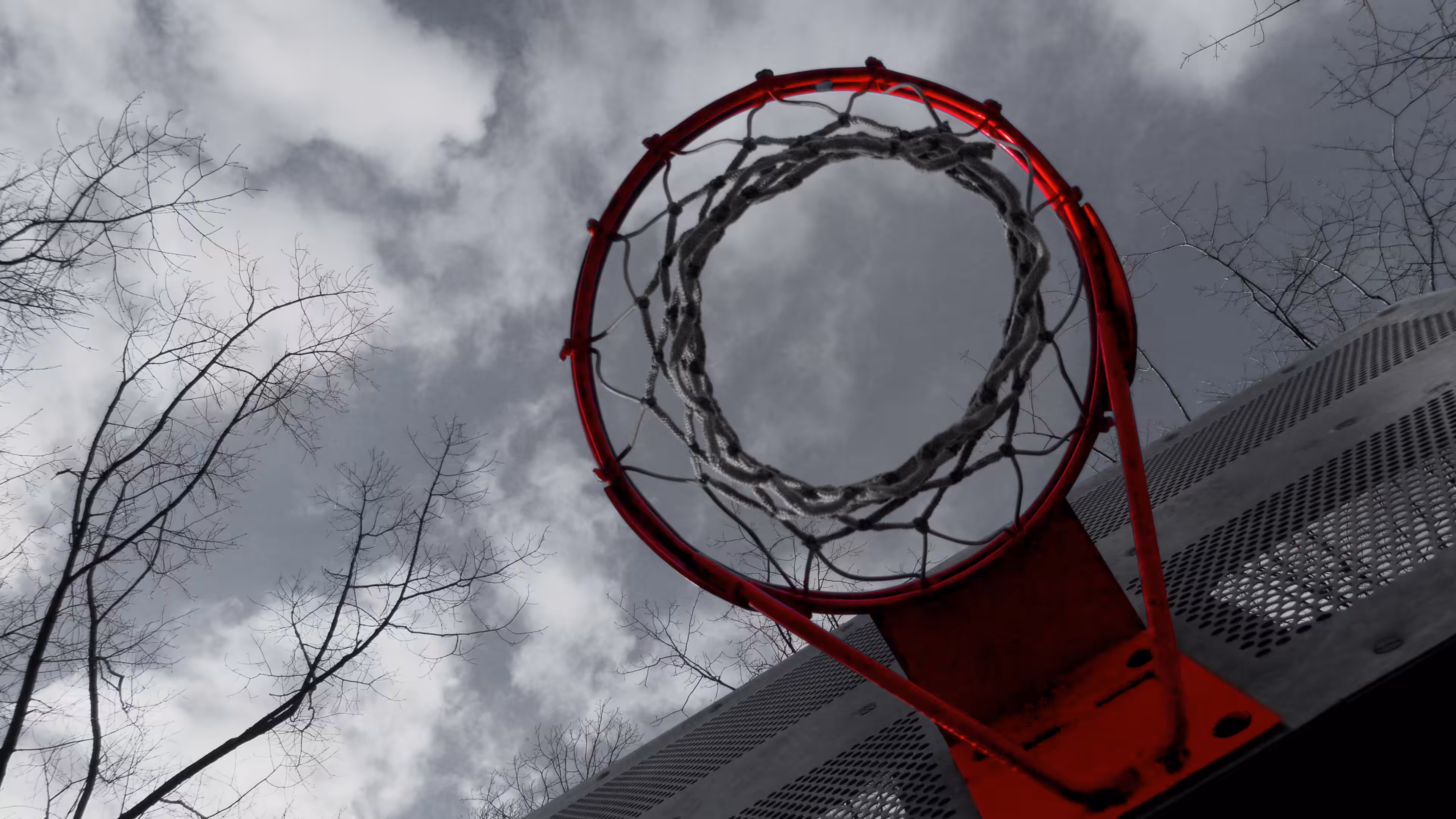 Ball Is Life