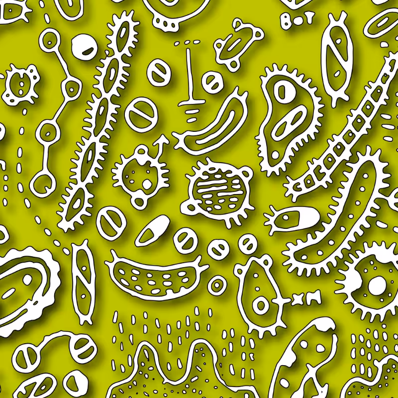 THE BACTERIA #1 #7