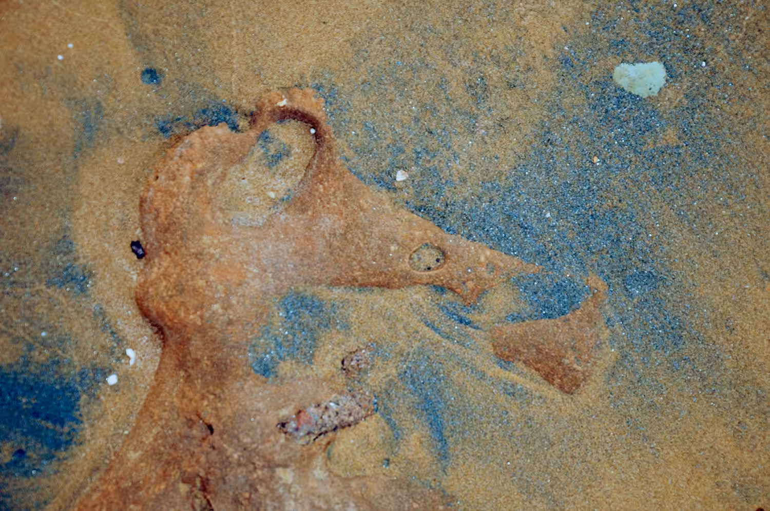 Blue Sands #8