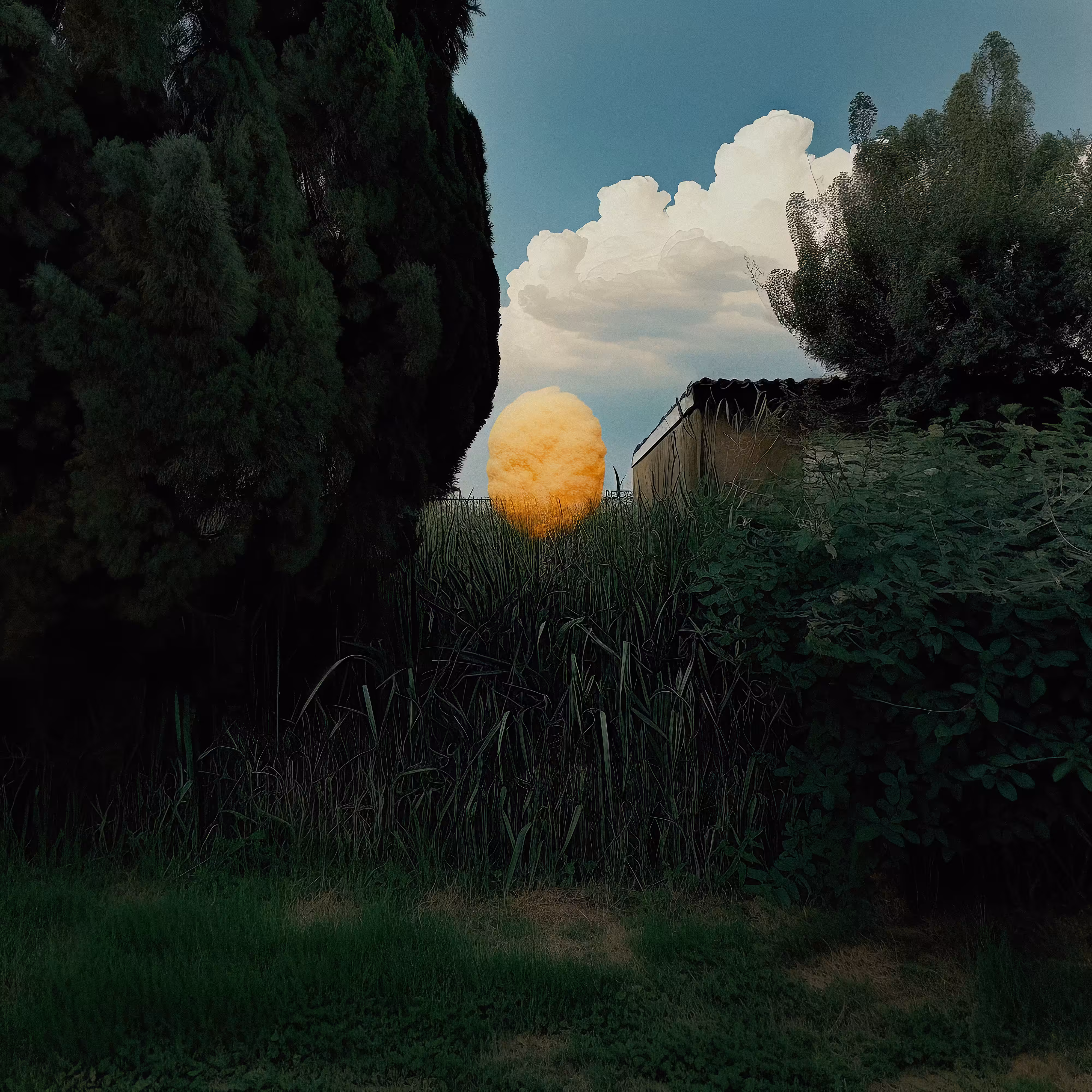 Haunted Garden III