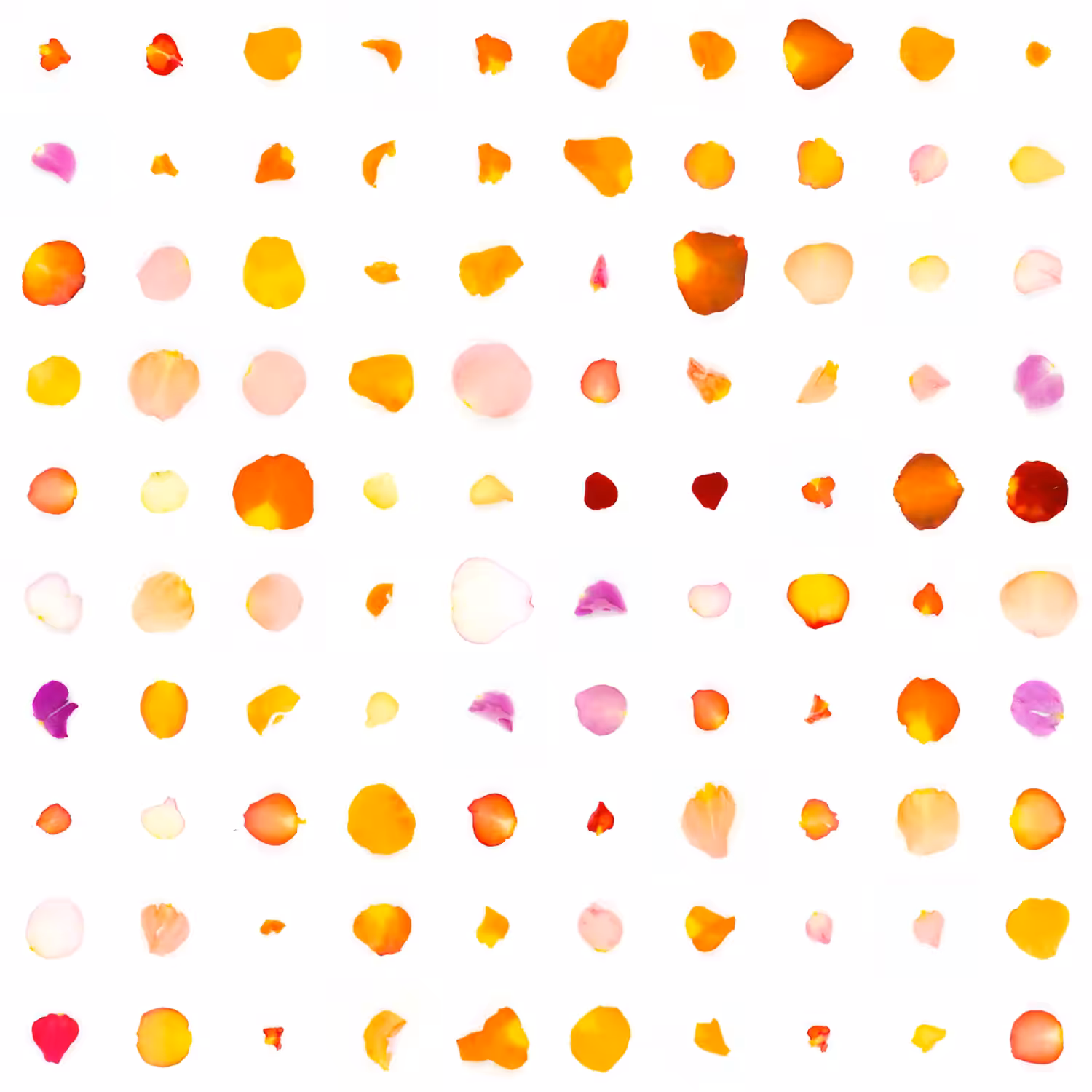 Infinite Petals 10x10#928