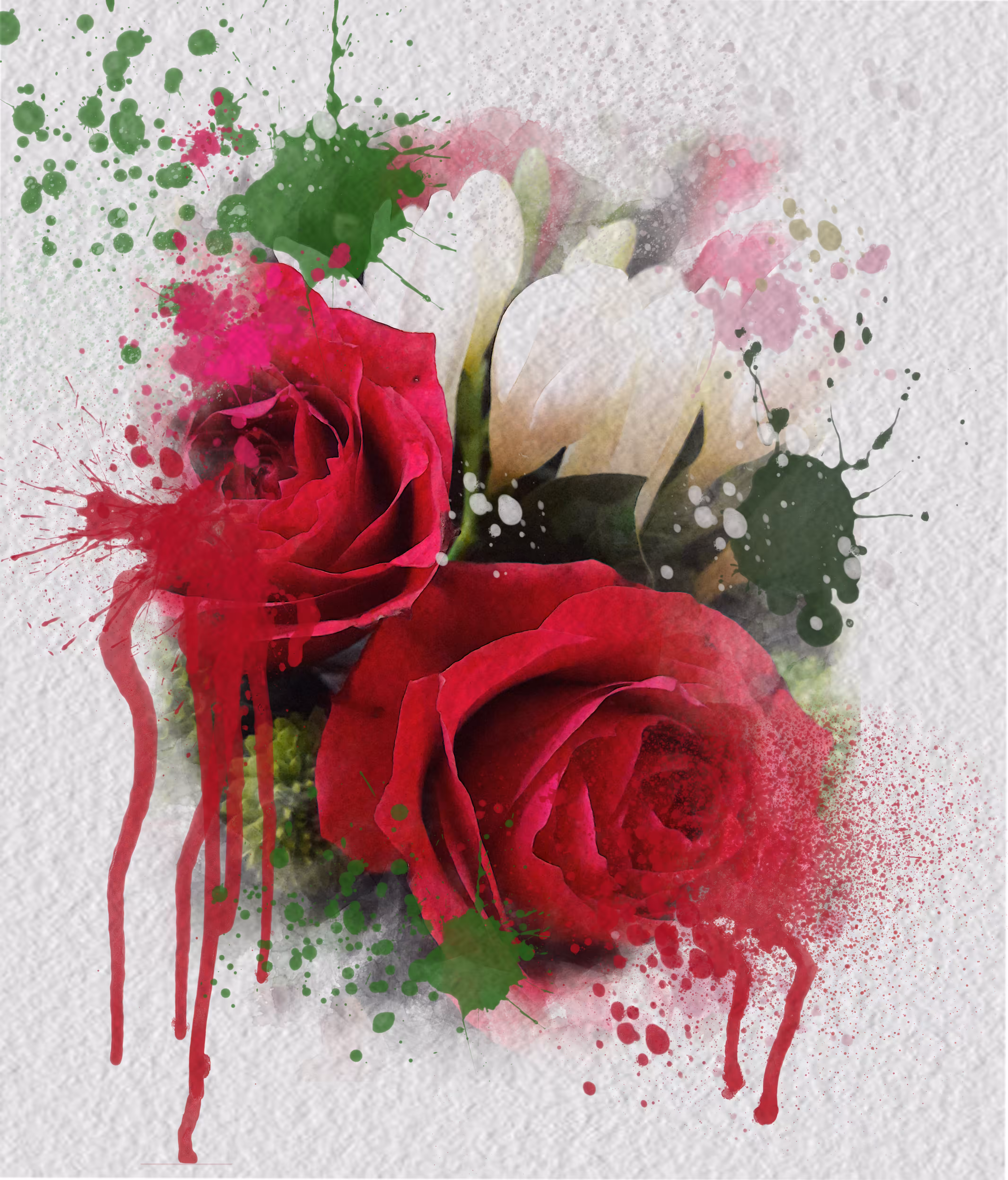 Red Rose