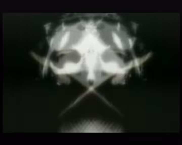 fish sKull 1