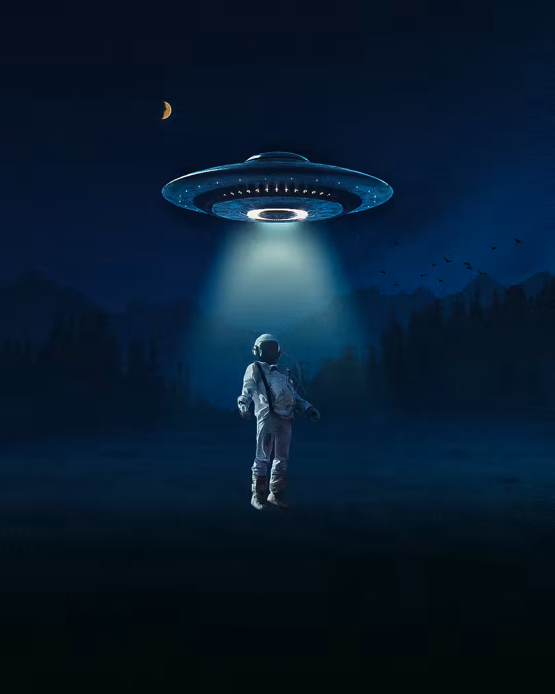 Abduction of the spaceman