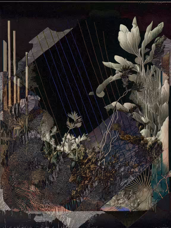 Wild Palms #205