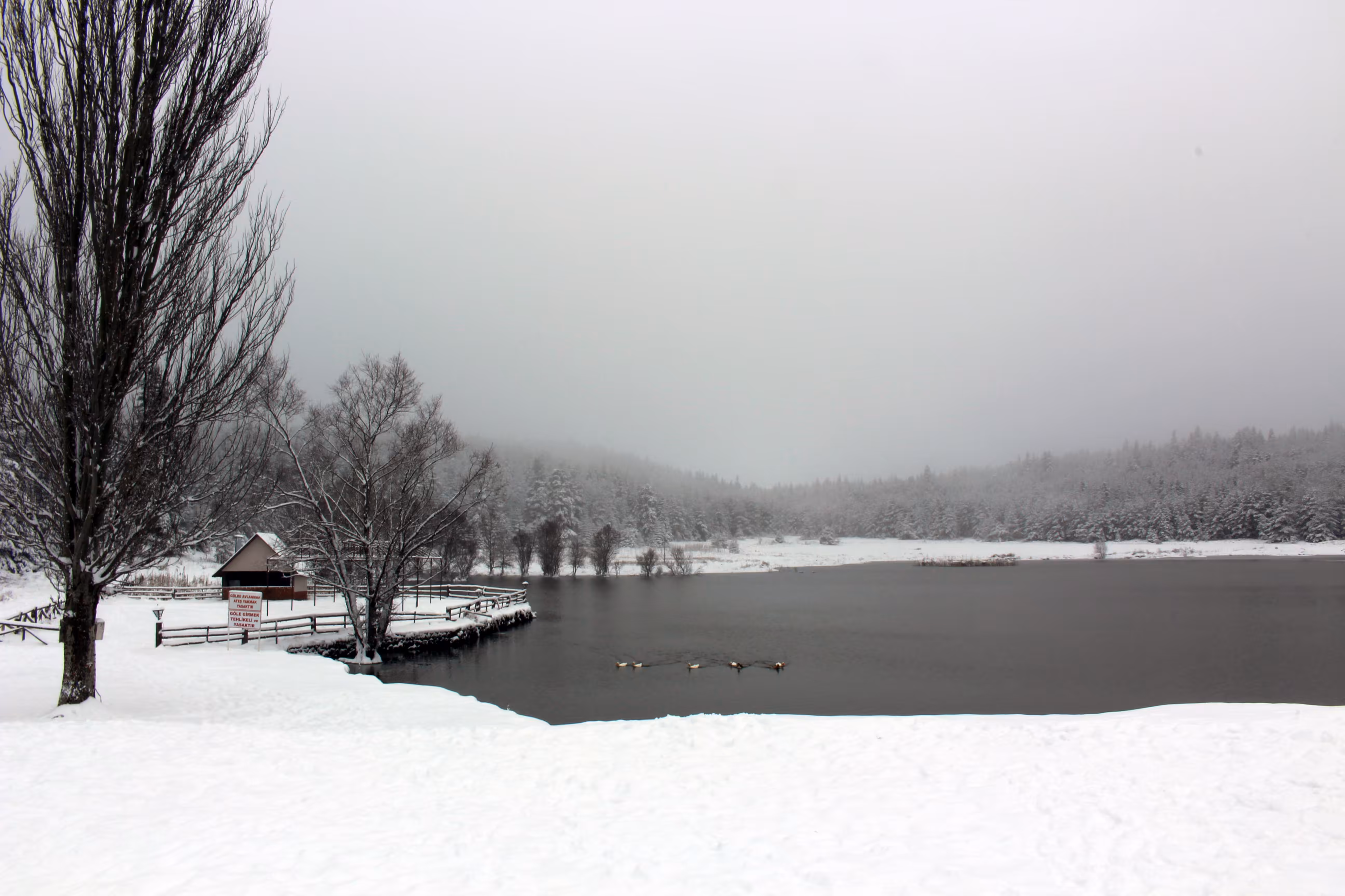 Snowy Lake
