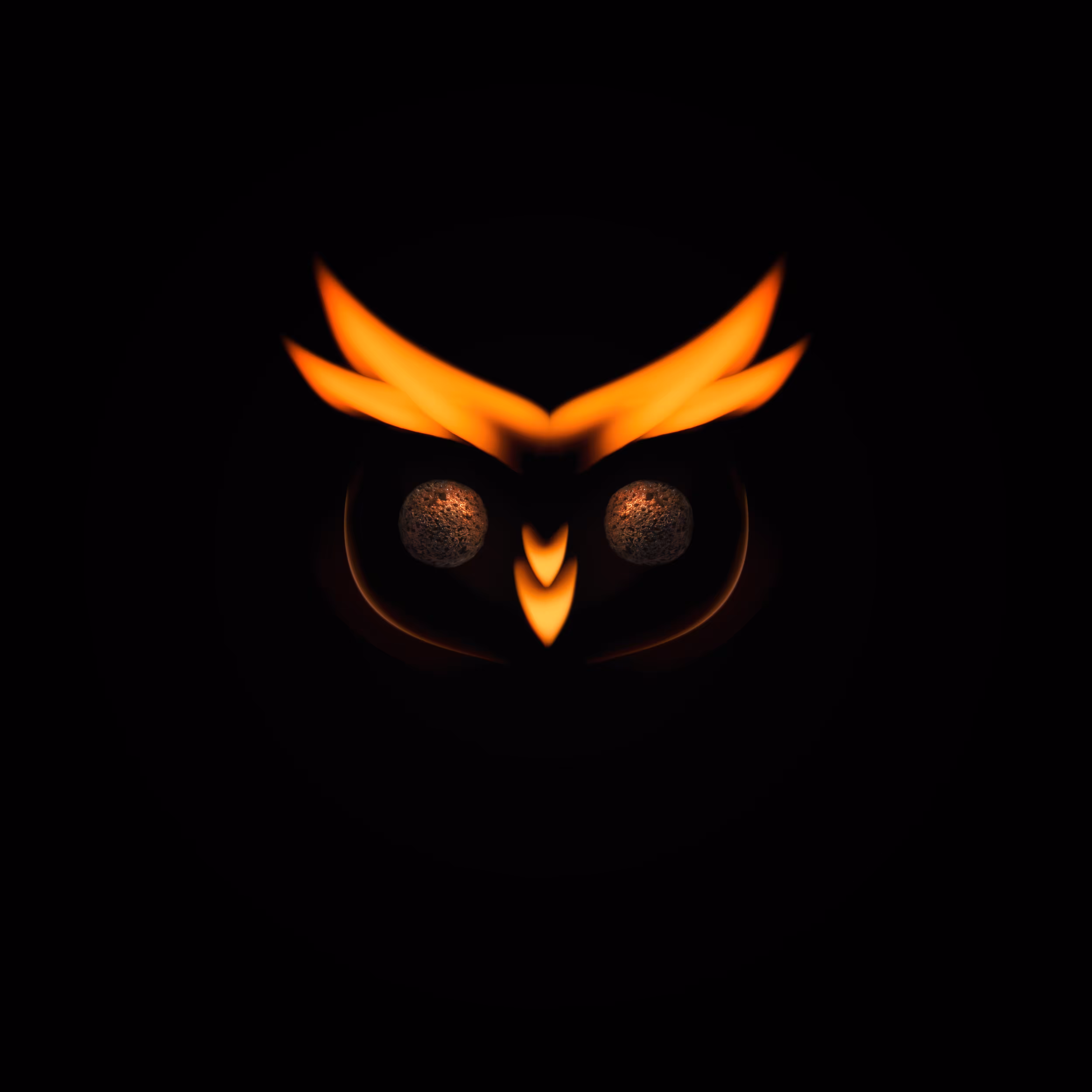 #26 - Owl