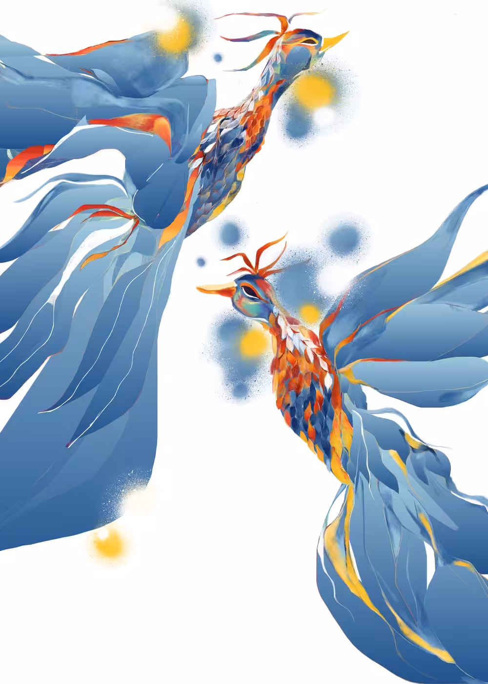 Birds of Paradise