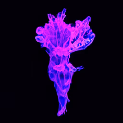 ᄃПIDΛЯIΛ