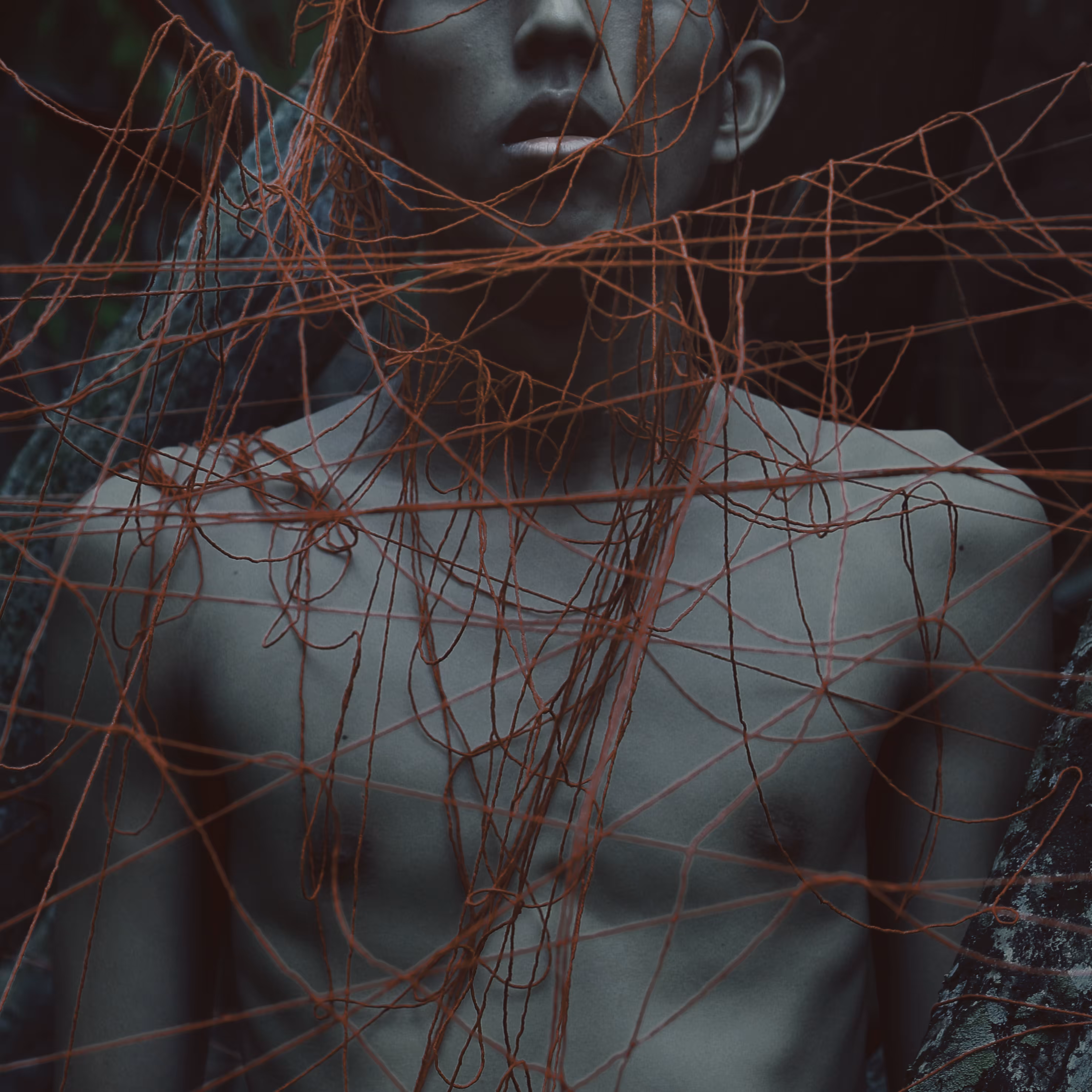trapped