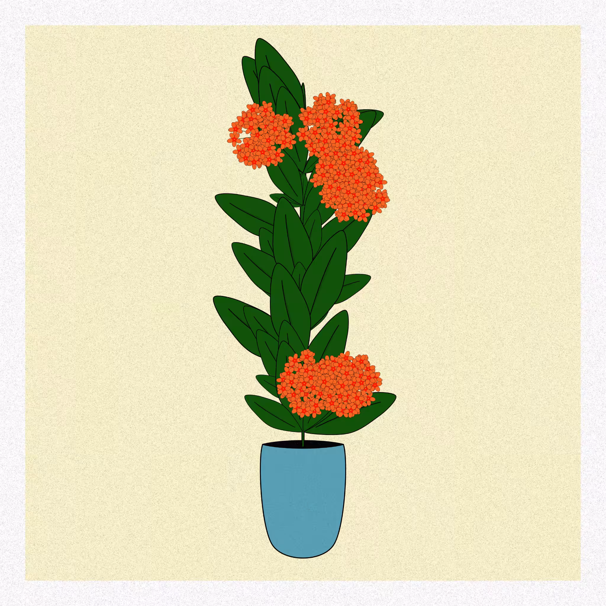 Flowers #91
