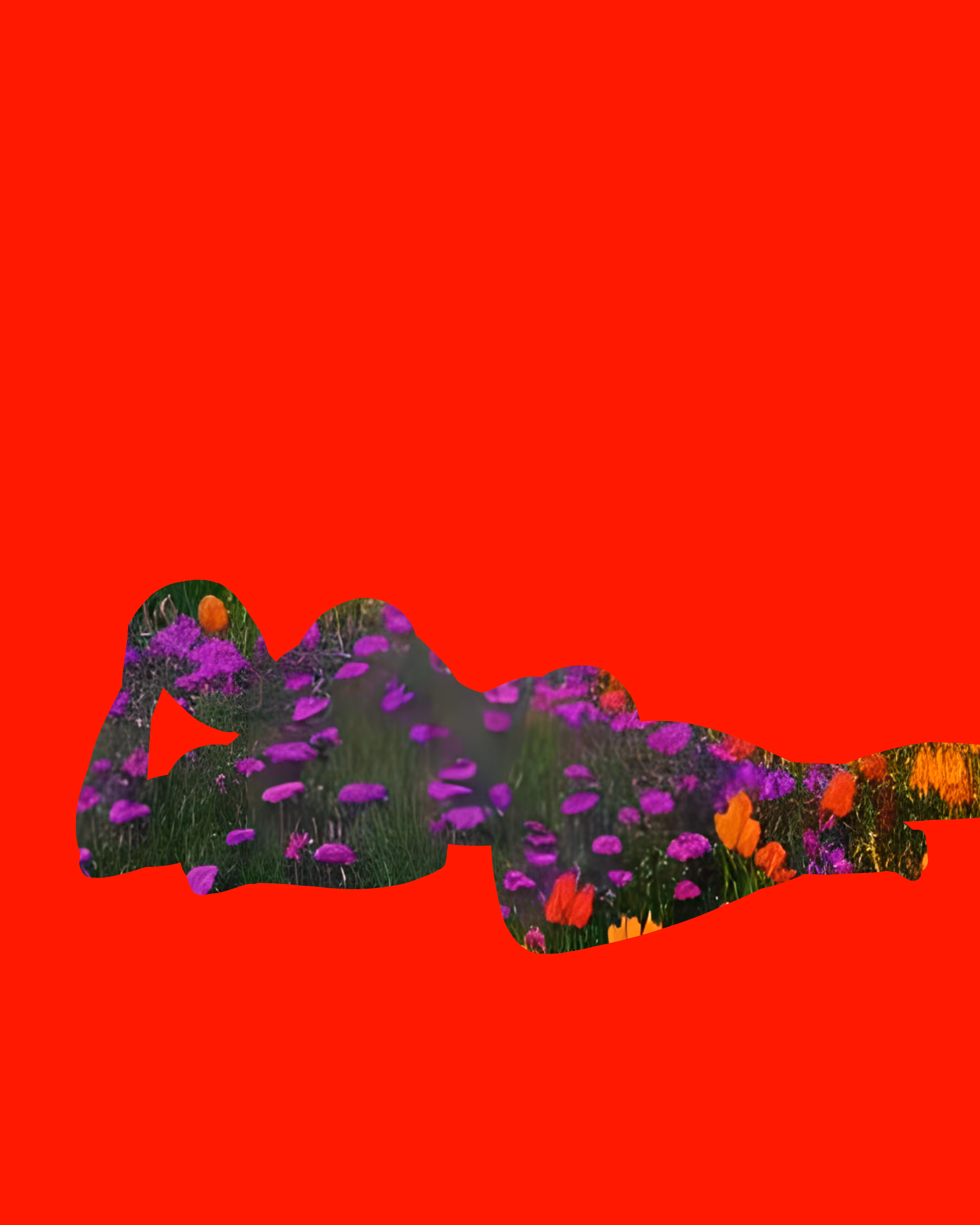 The Forest Within 03