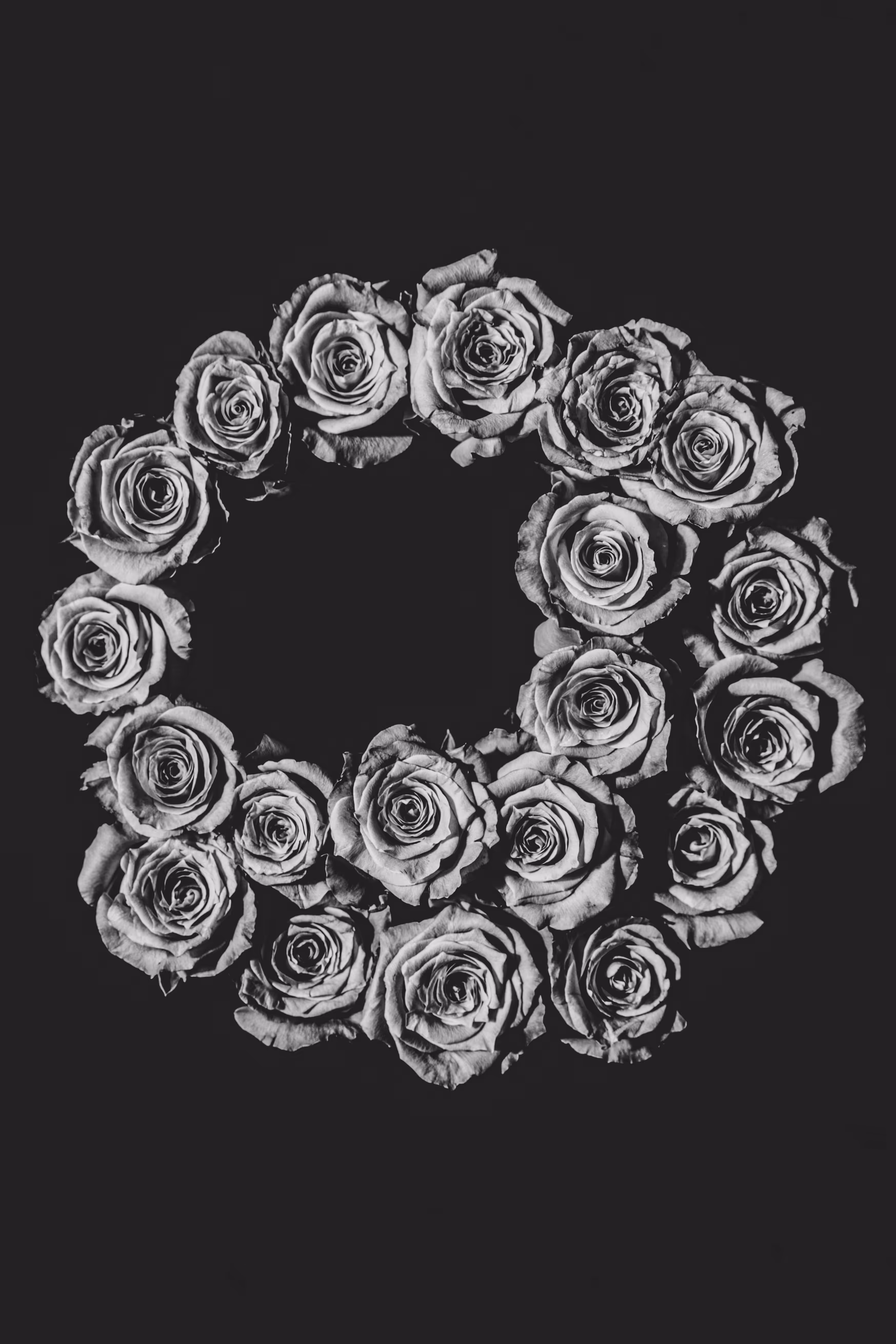 Dance of roses