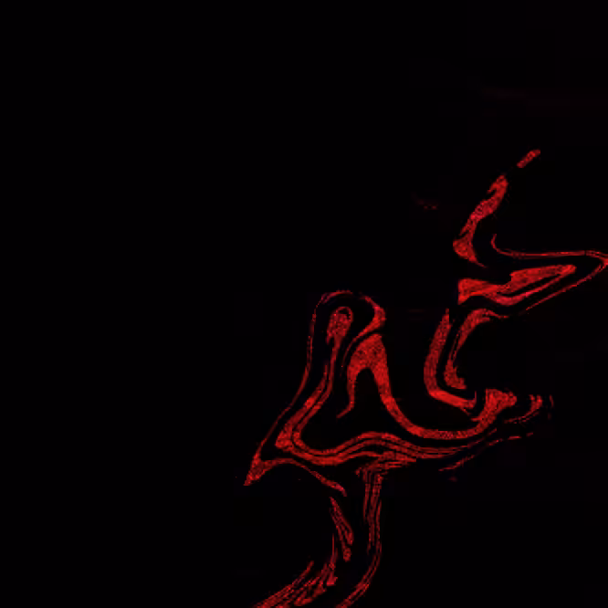 Religious Apparatus 5