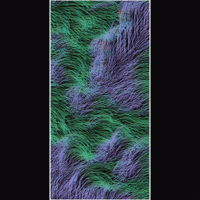 Tamed Quantum Foam #49