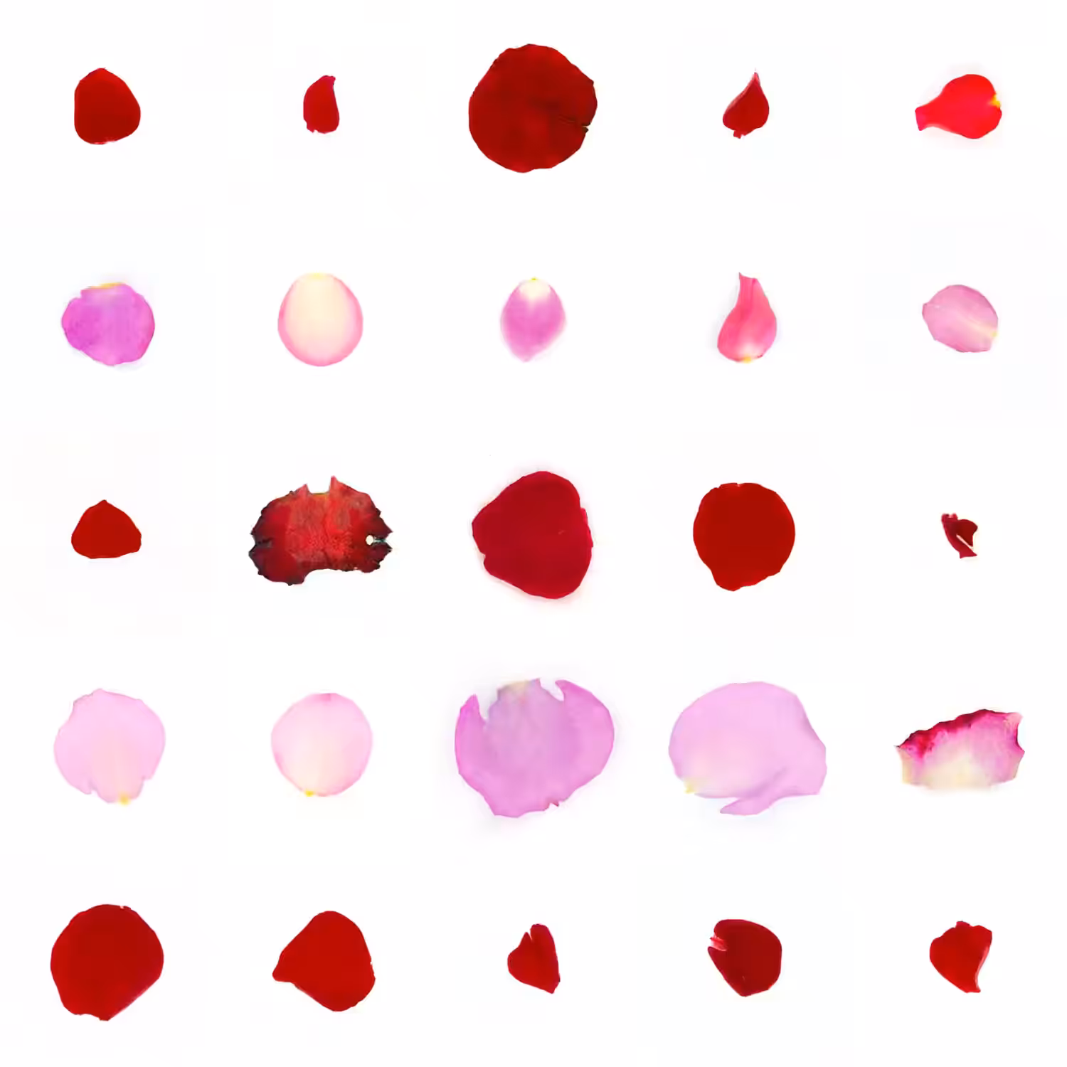 Infinite Petals 5x5#20591