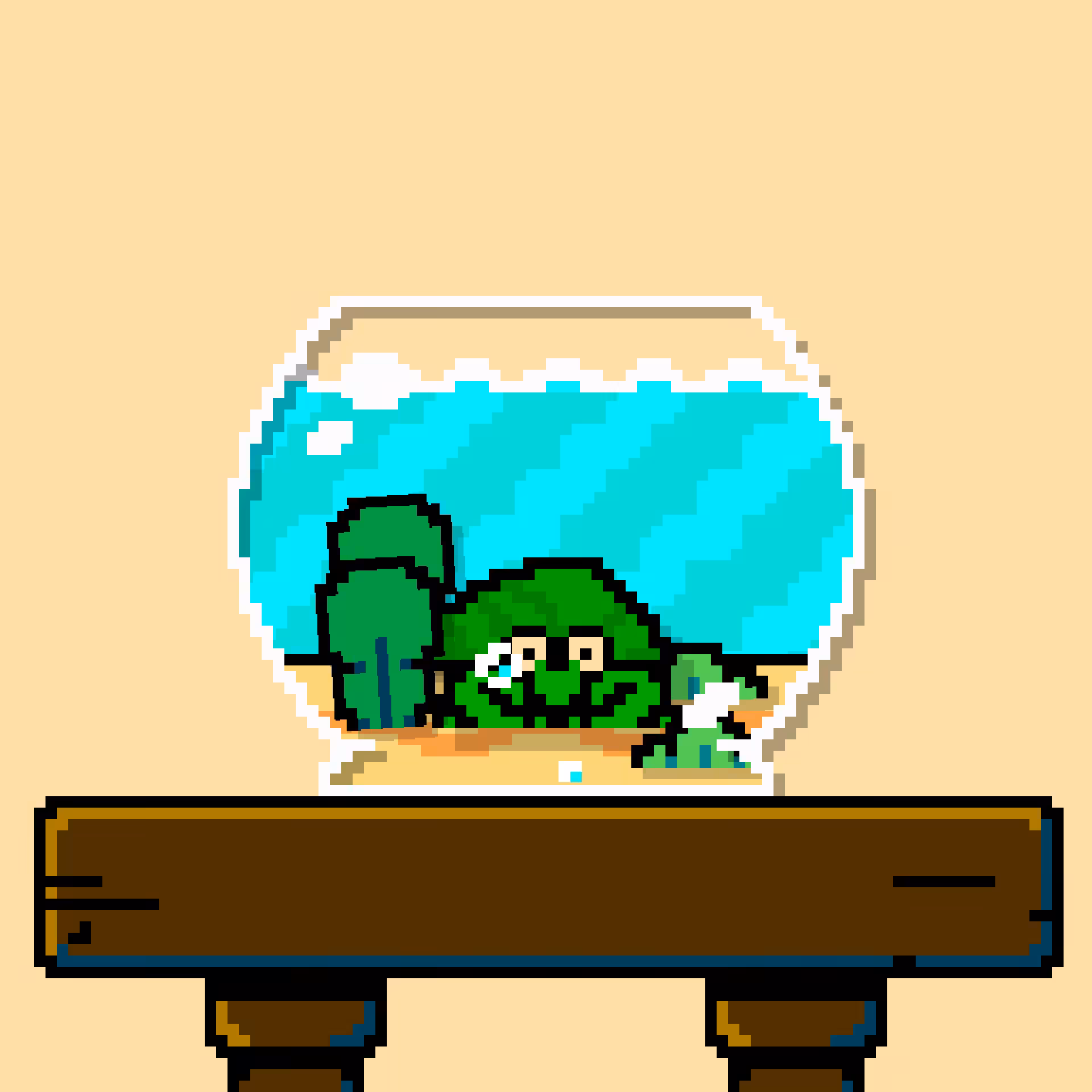 hermit crab #3