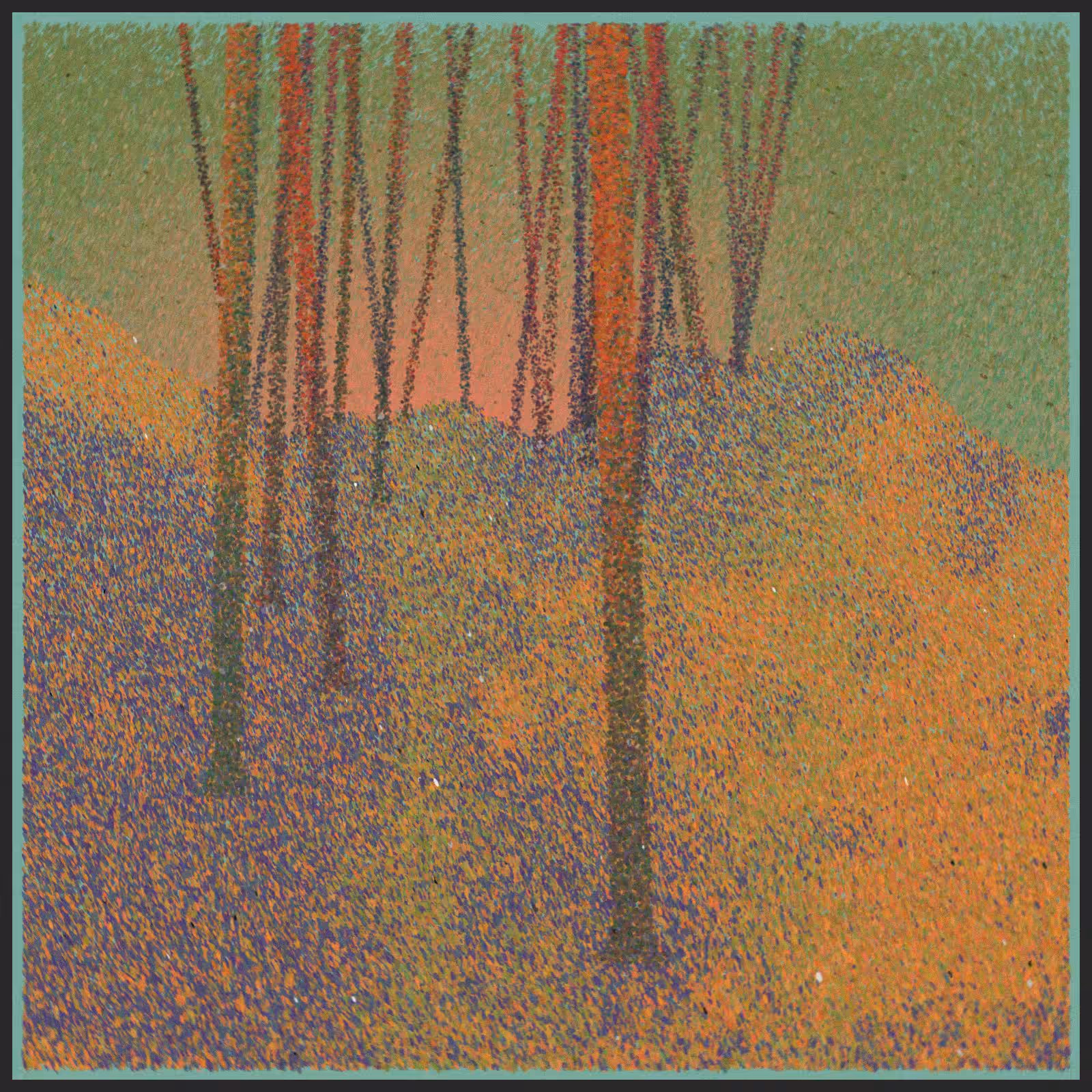 forest #216