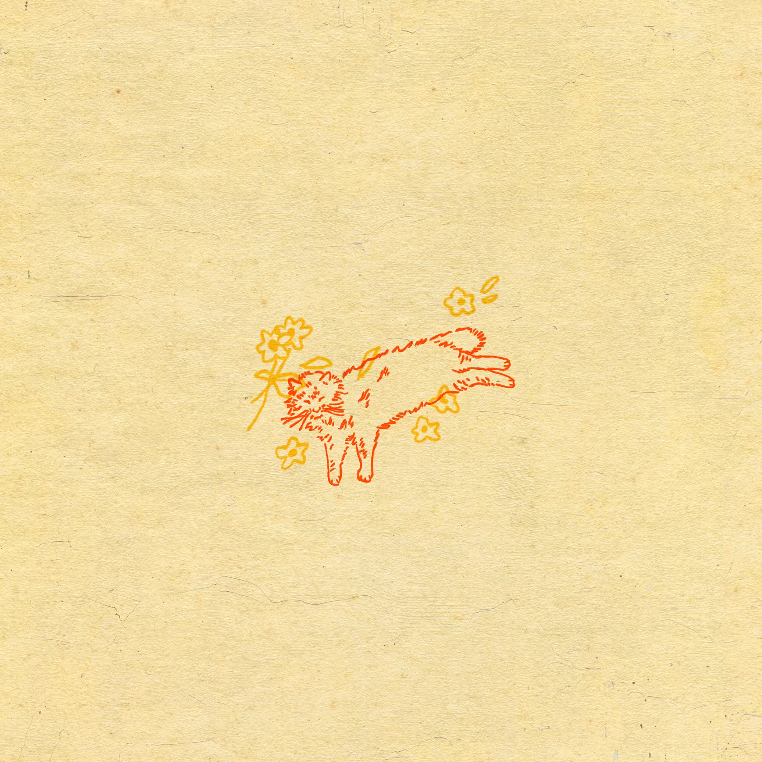 tiny drawing 10 - meow meow ok