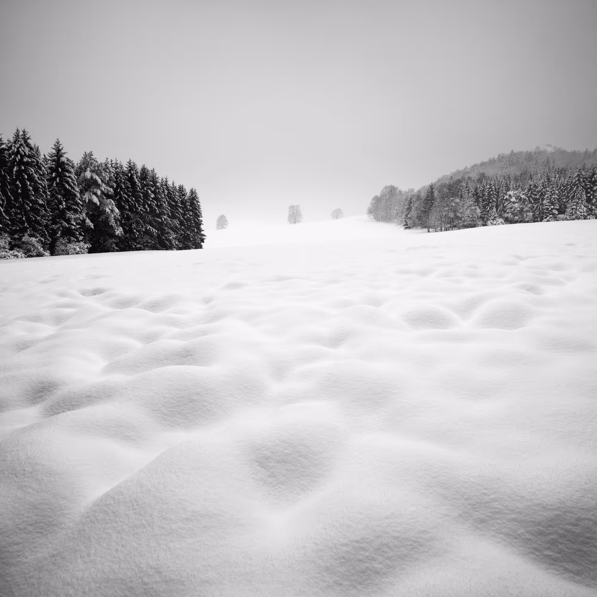 Sound of Silence #28