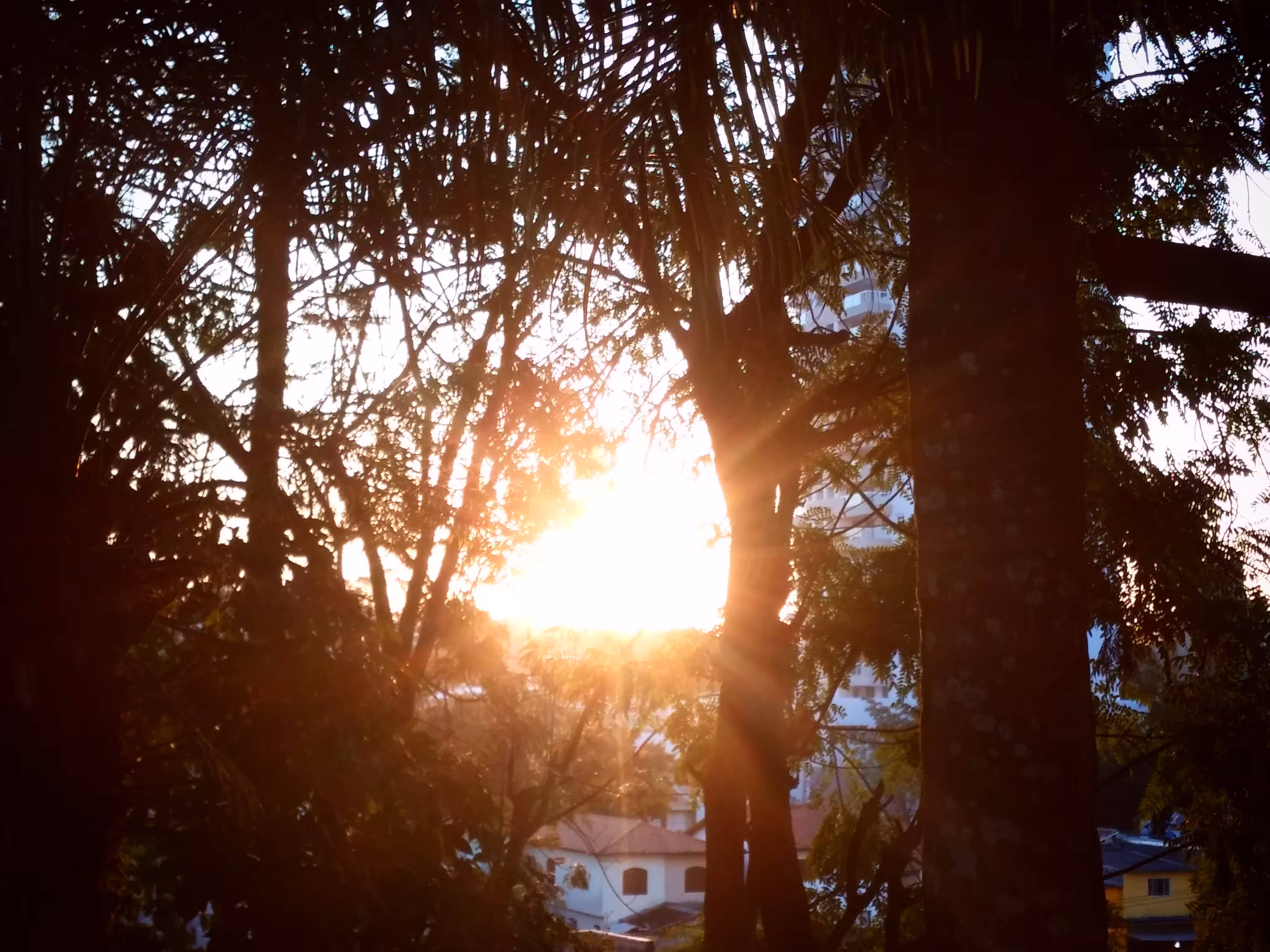 The Sunset 1