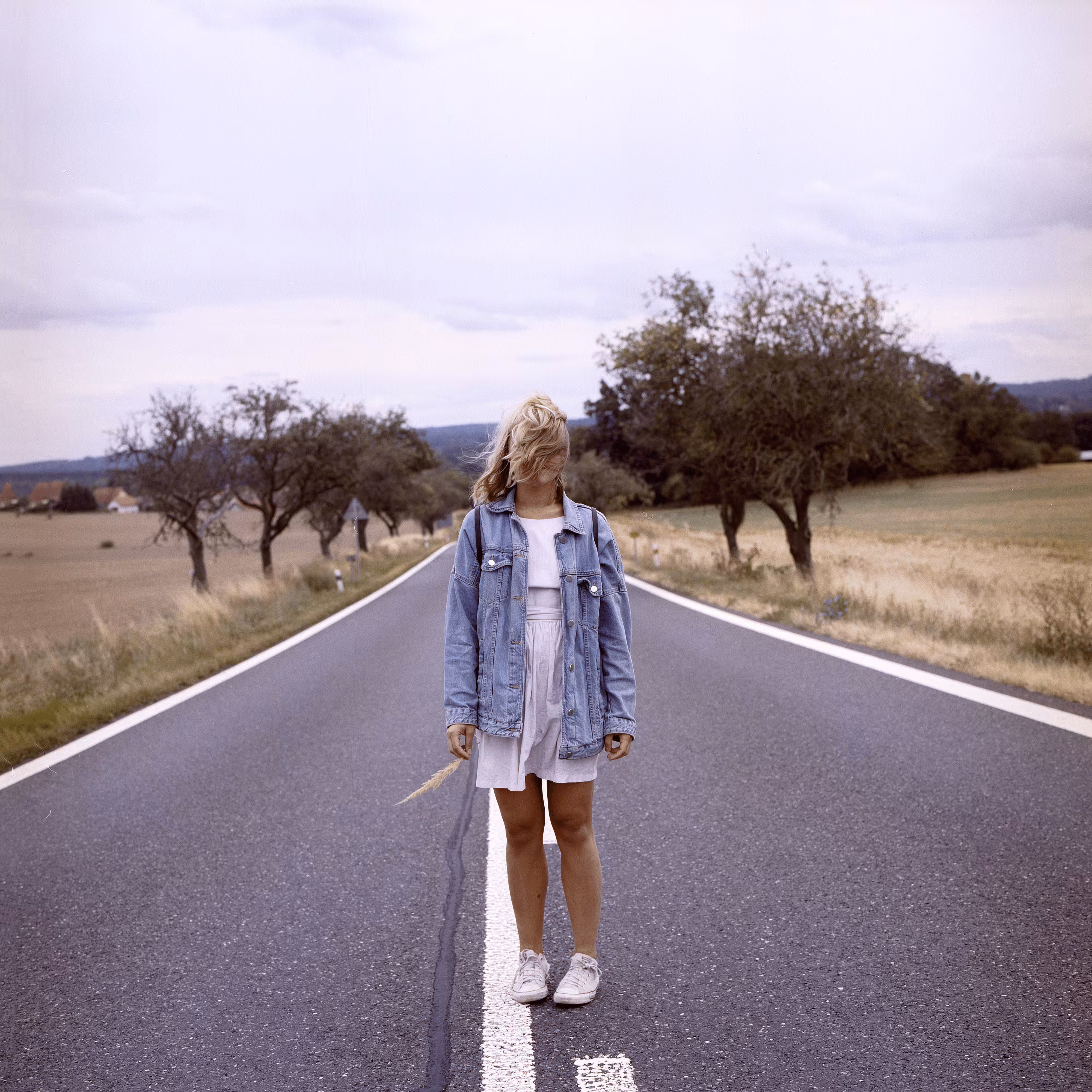 Roads Untraveled #11