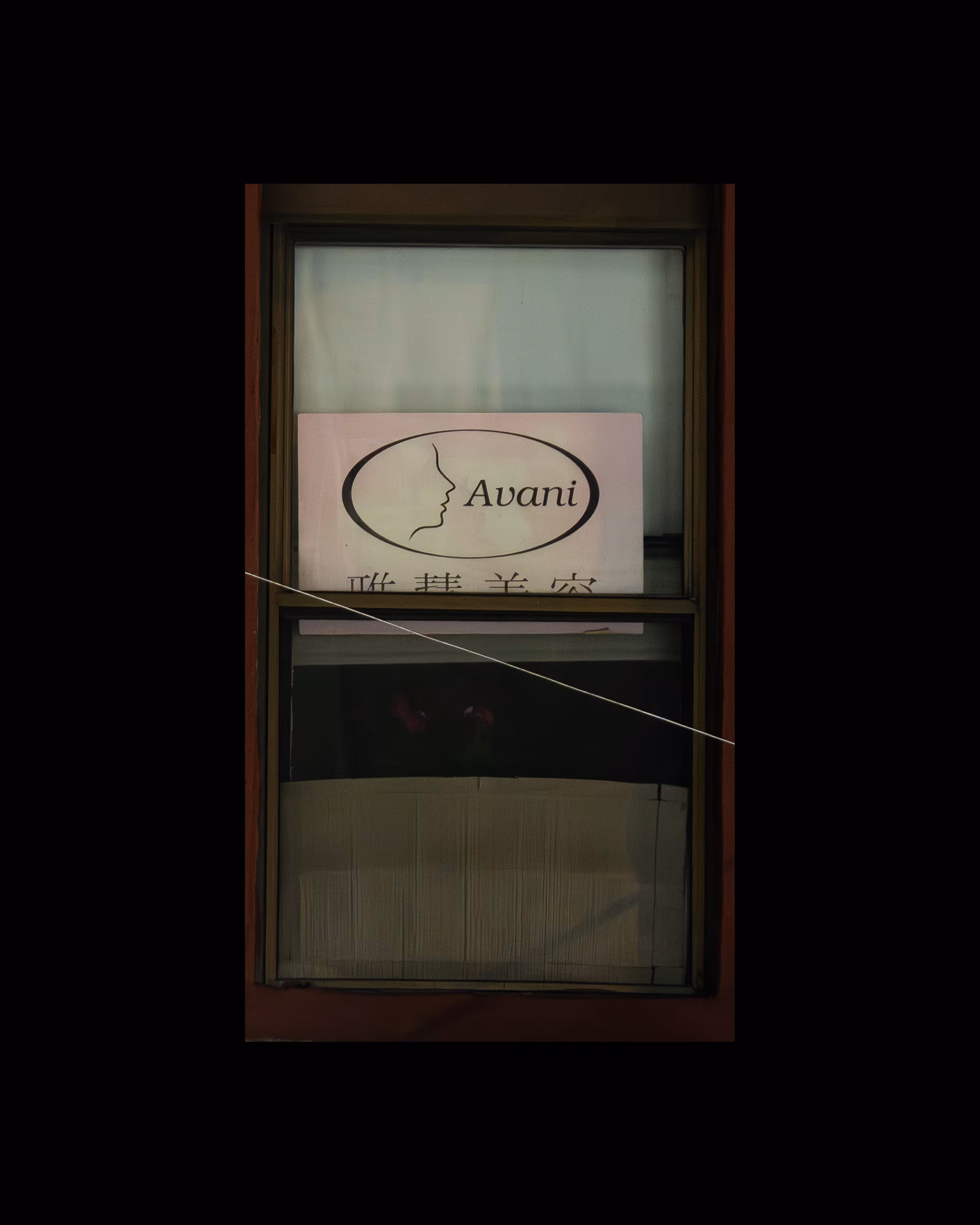 WINDOW 790