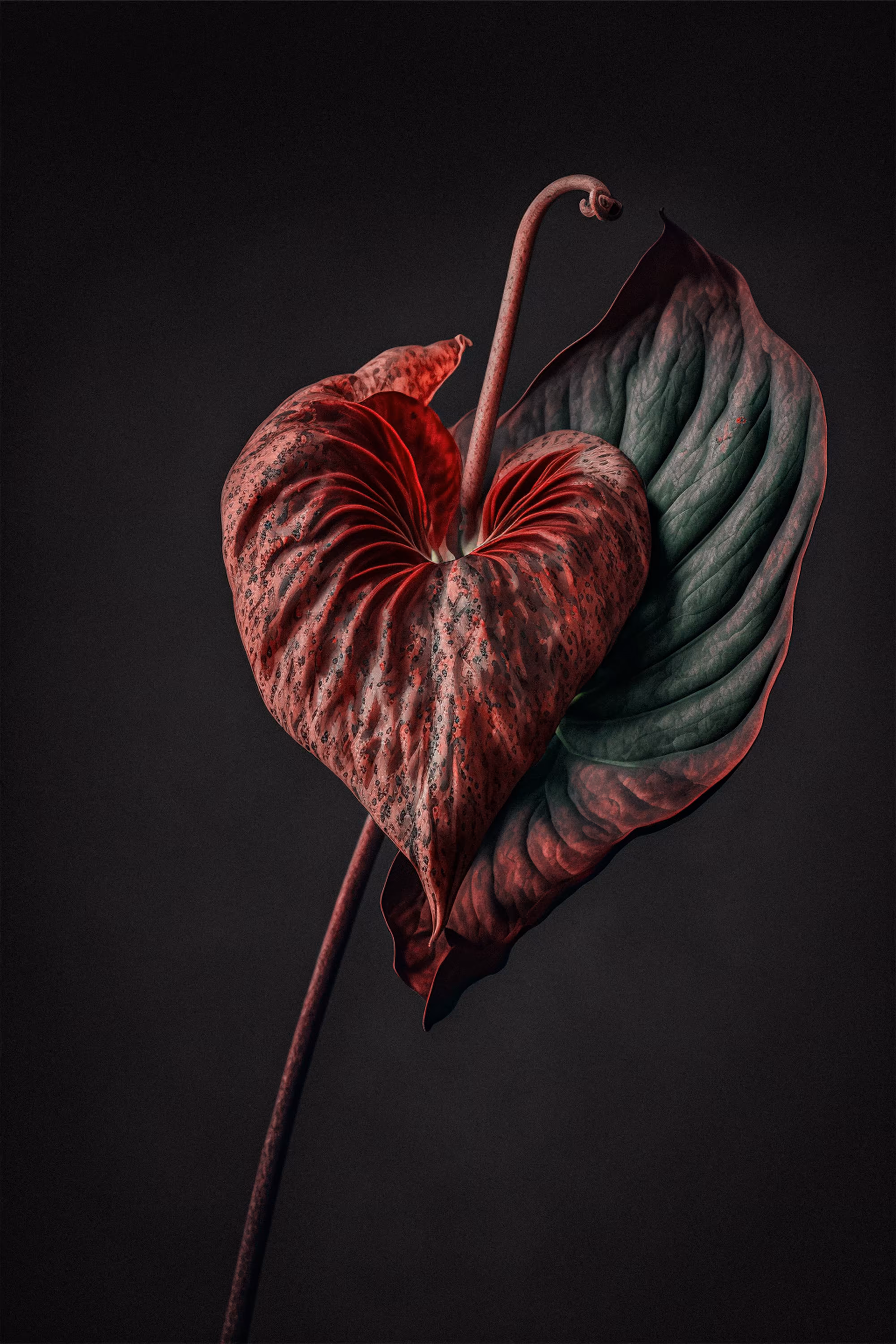 Burnt Heart