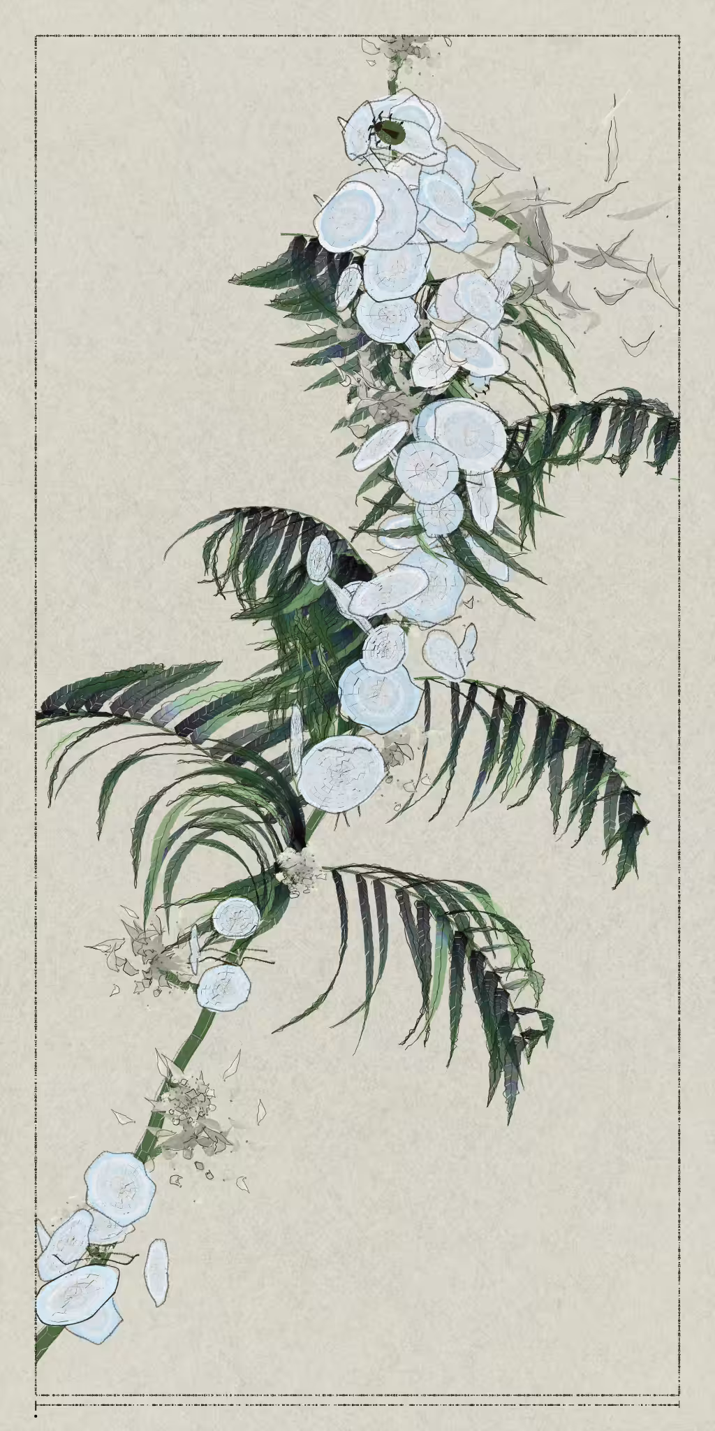 Polypaths | 植徑集 #721