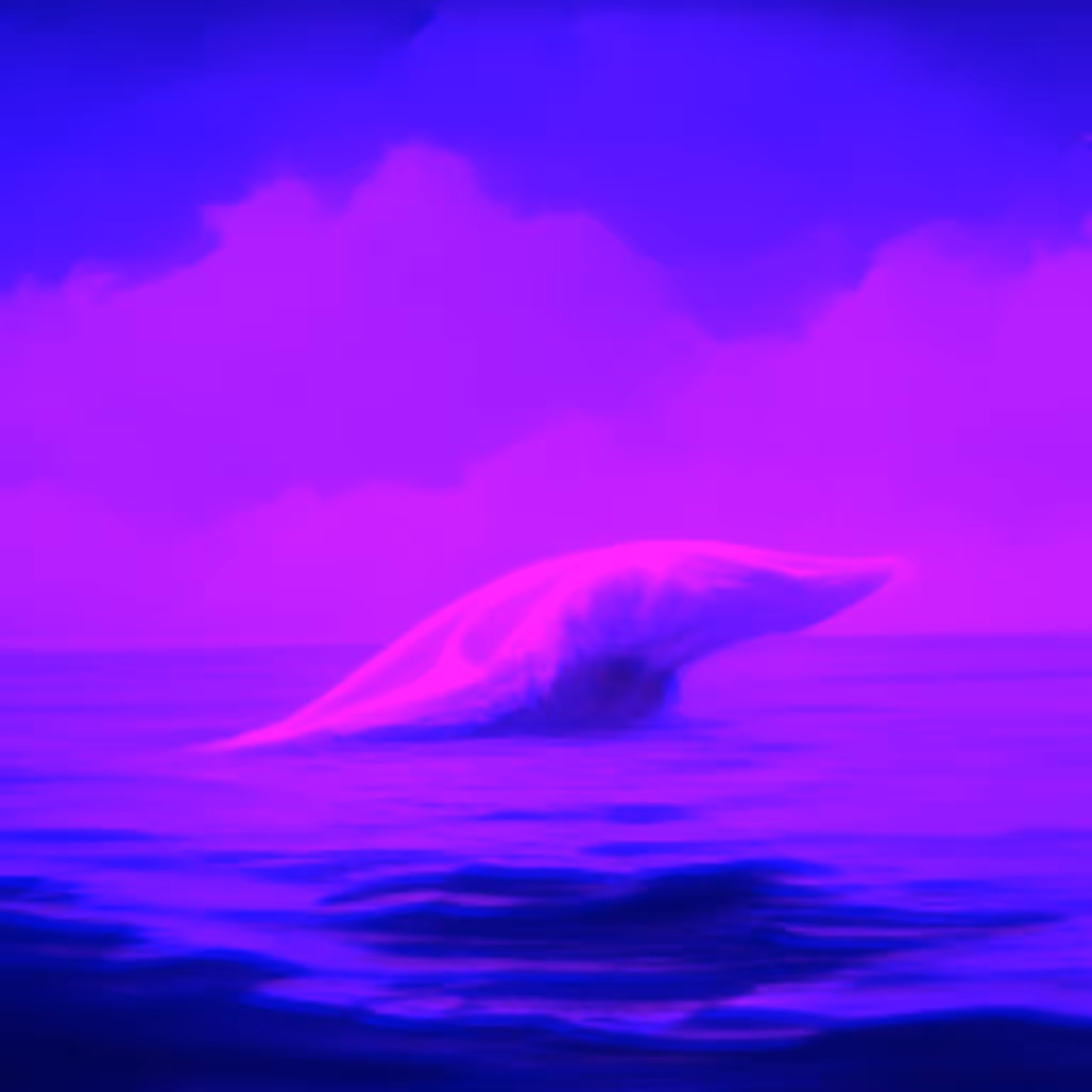 The Whale