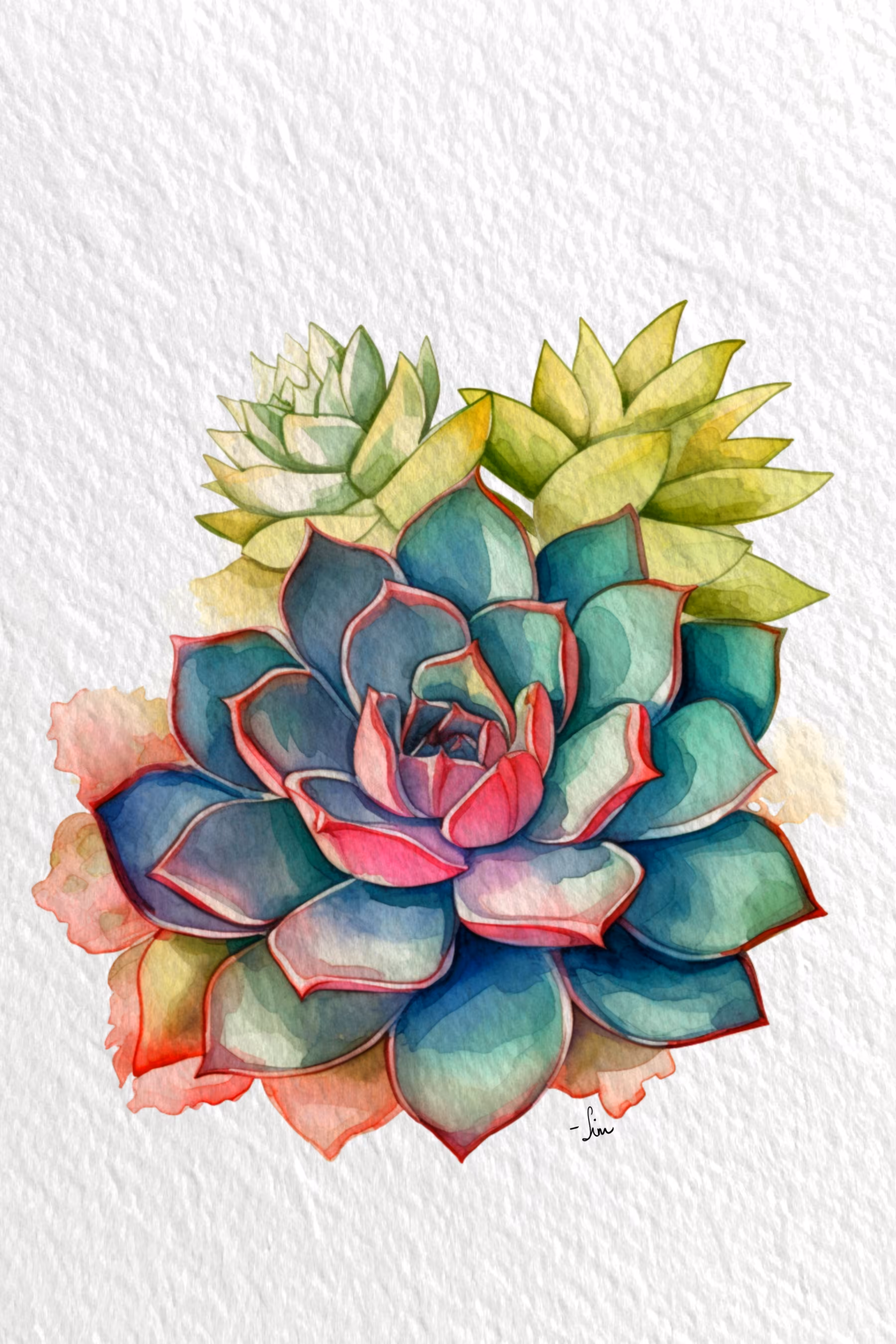 White Mexican Rose