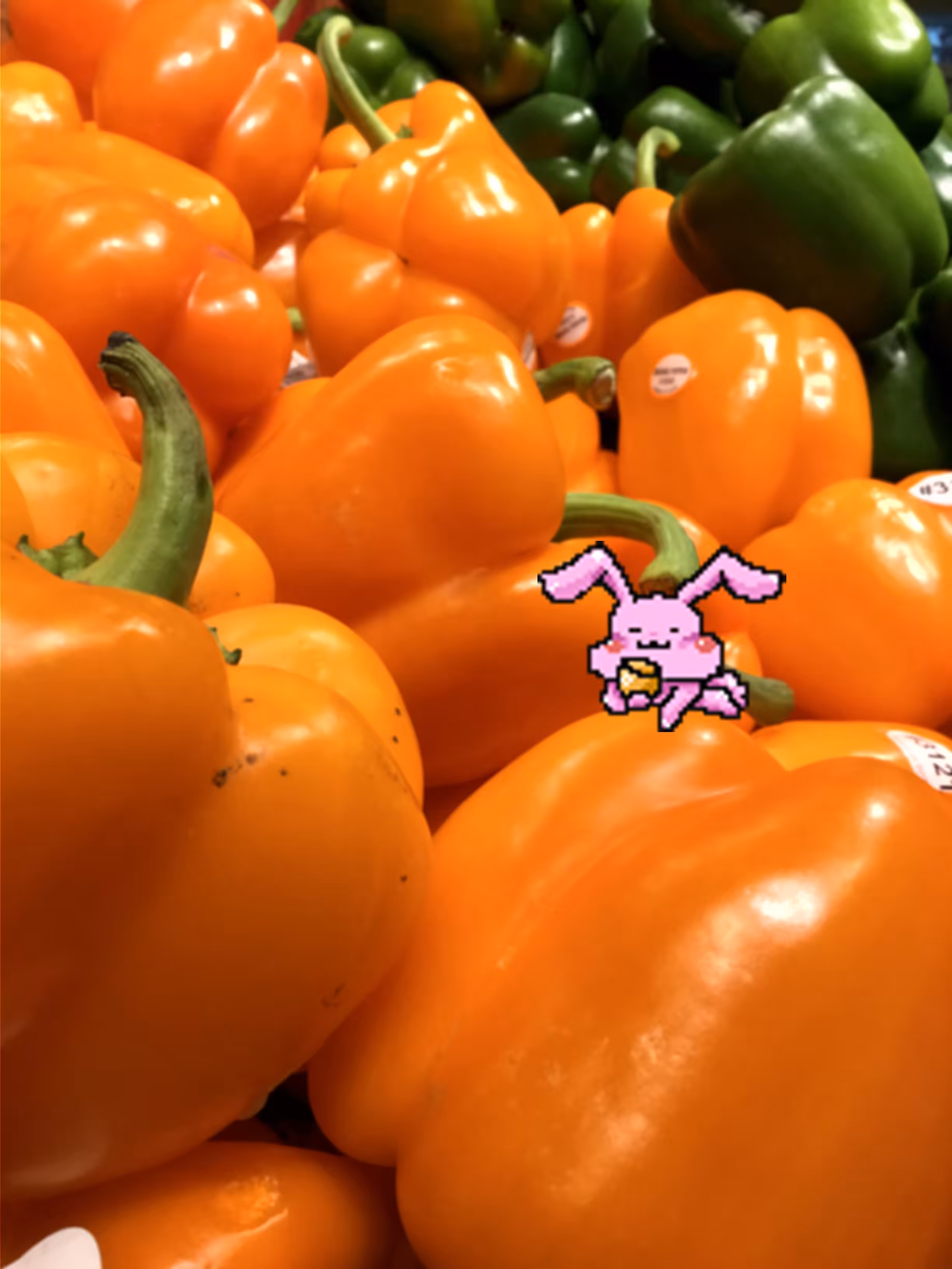 Finding pixel rabbit in shopping