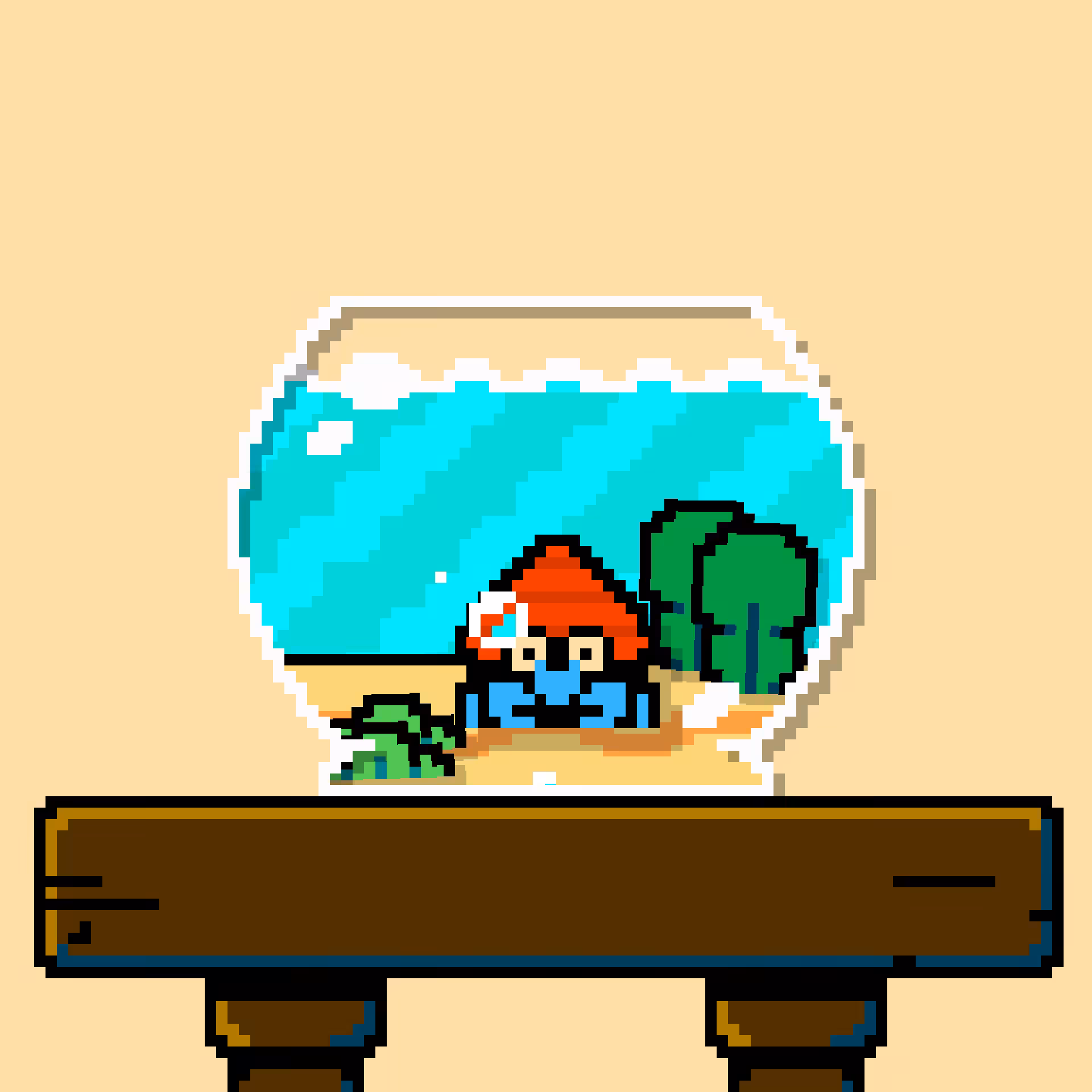 hermit crab #42