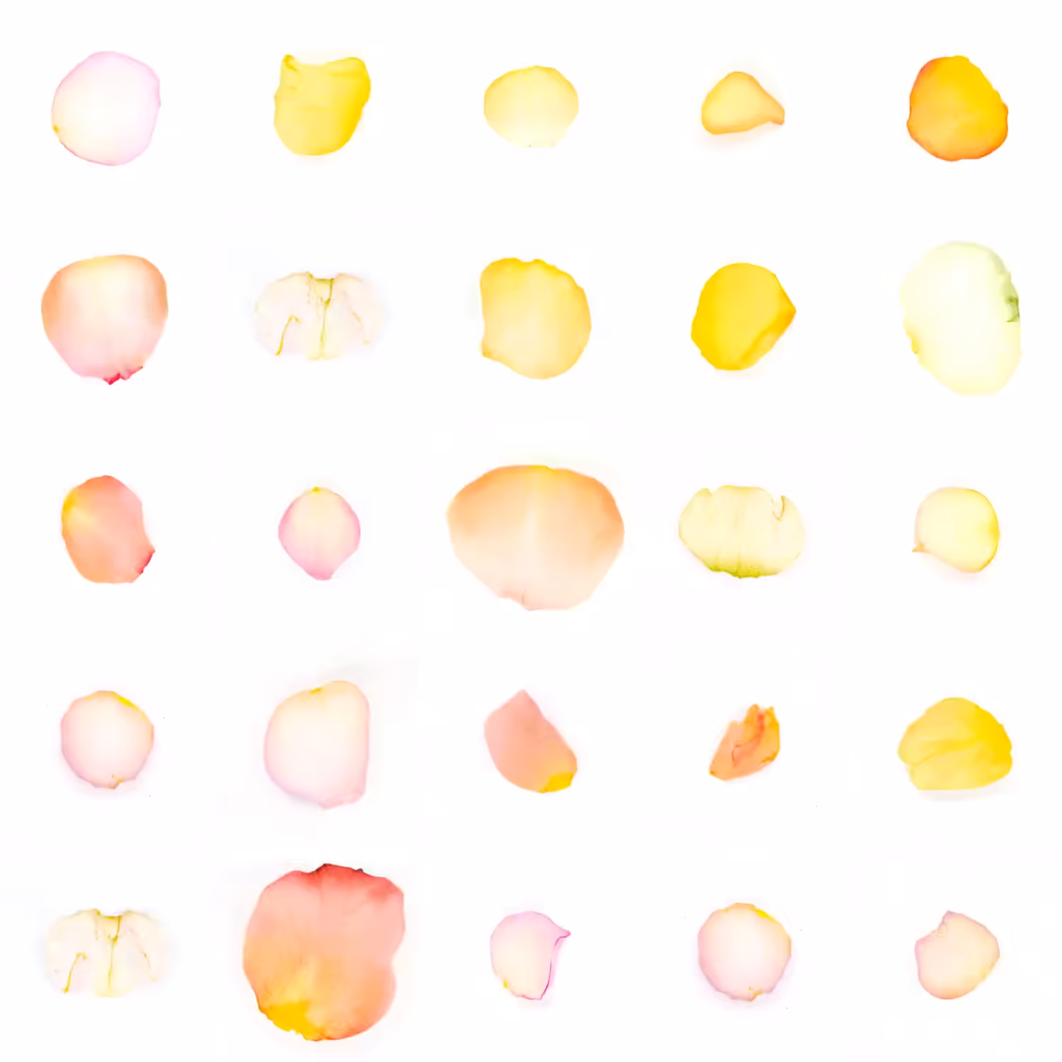 Infinite Petals 5x5#20780