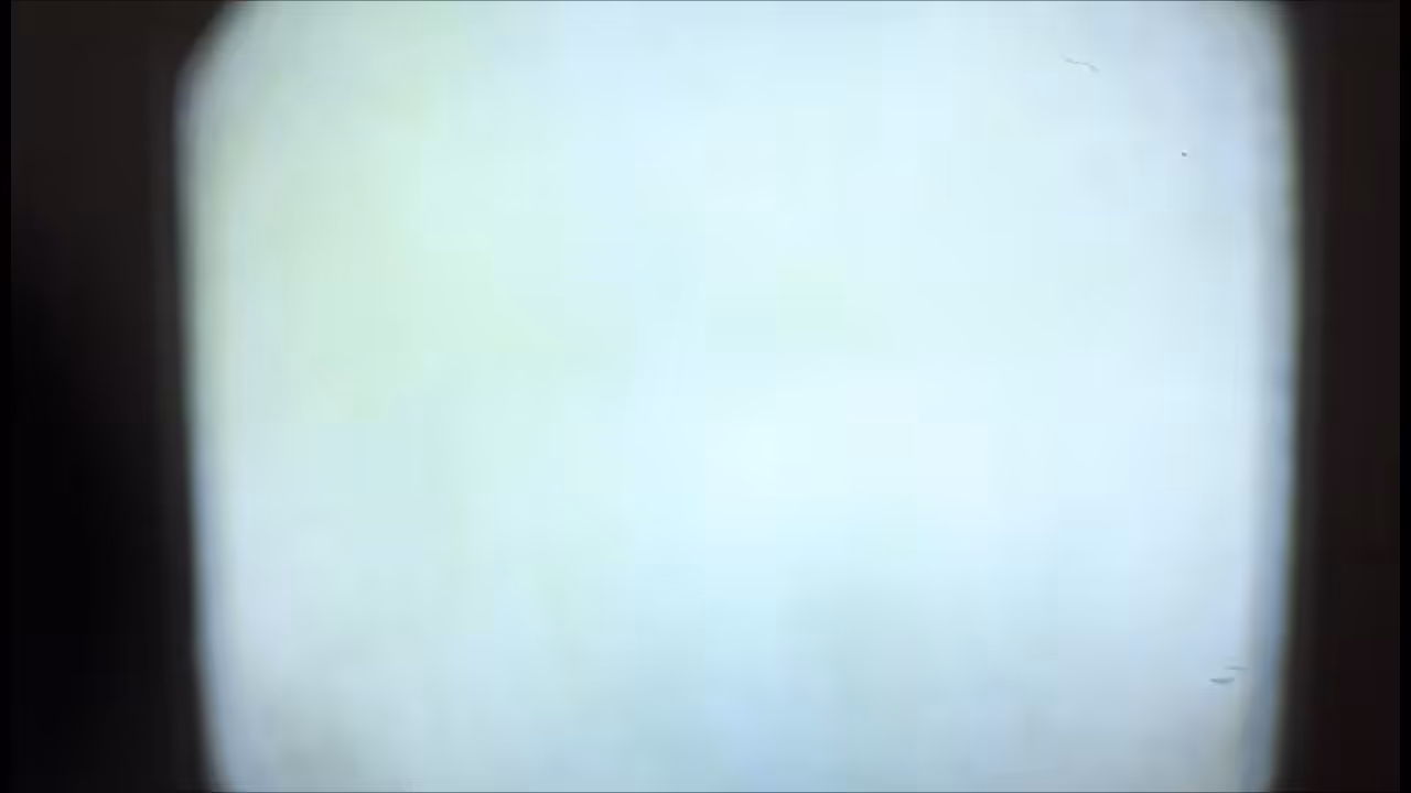 Sail - alive memories