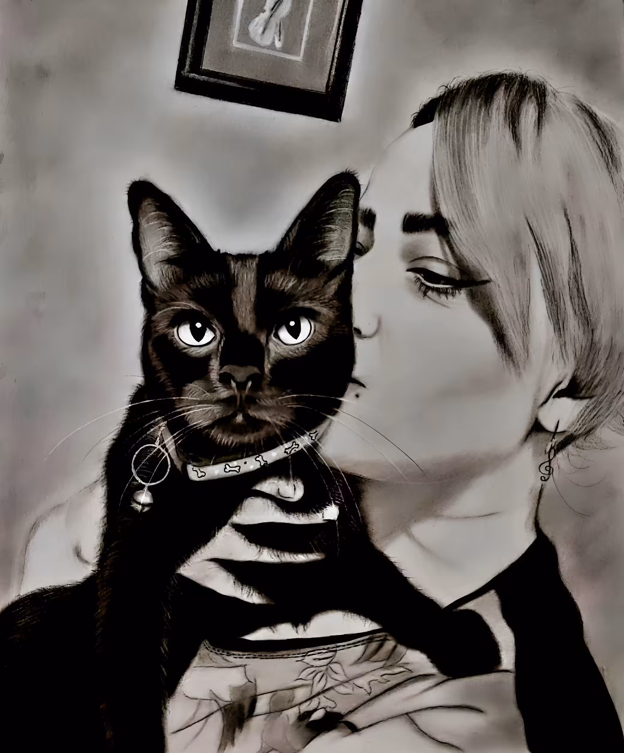 Black cat