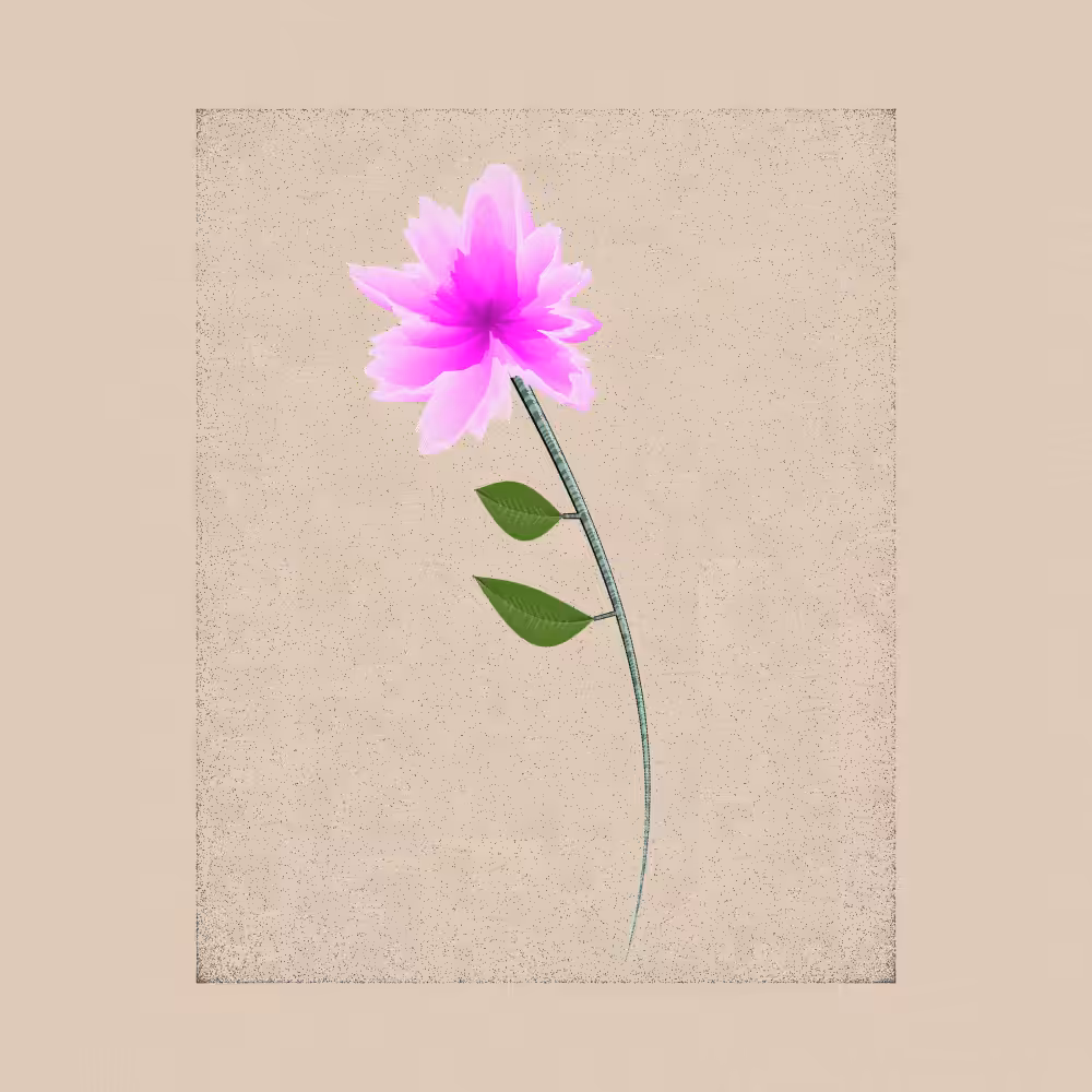 Magnolia #74