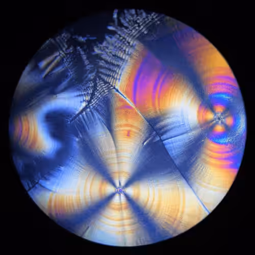 unsynthesized #423 #5
