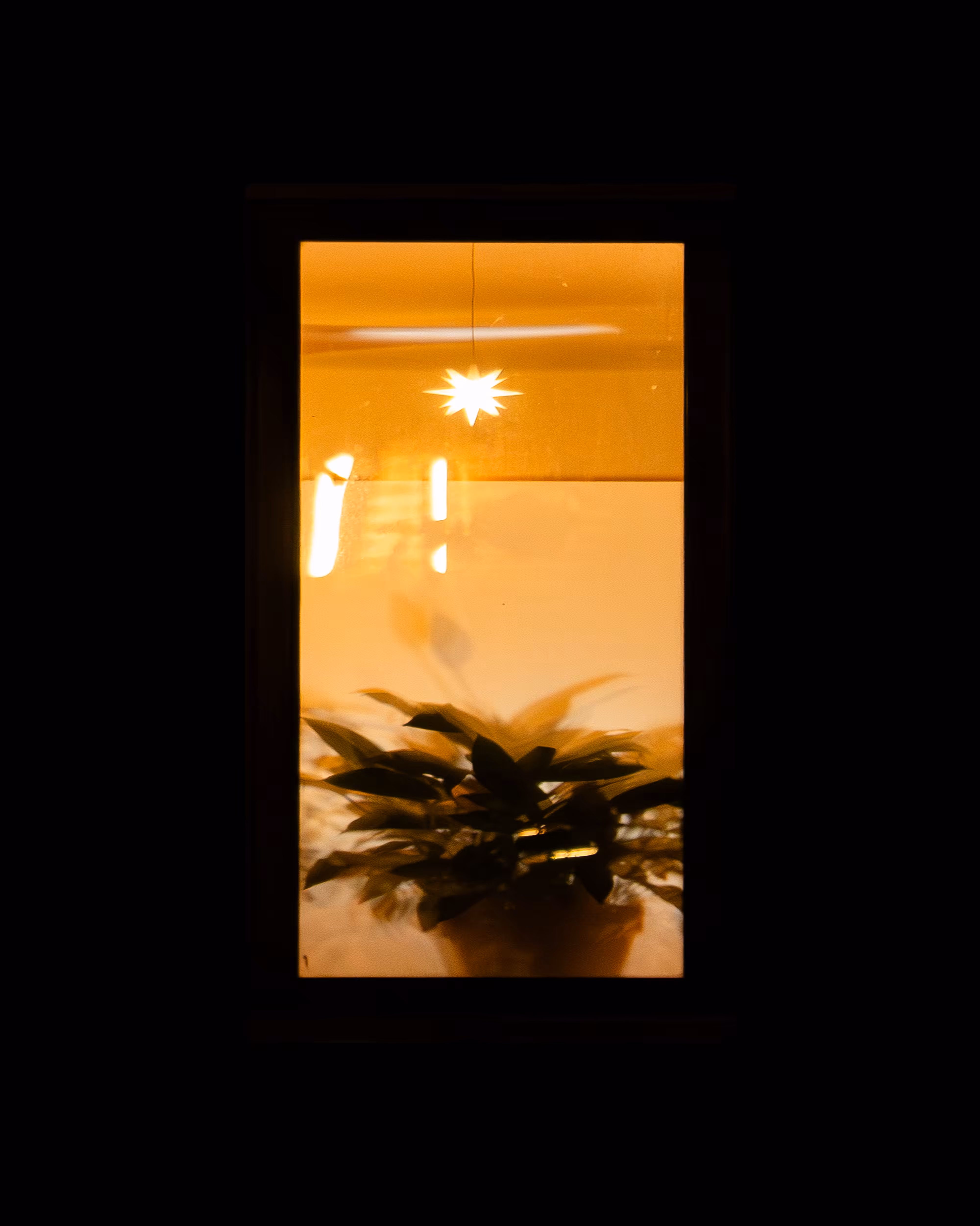 WINDOW 904
