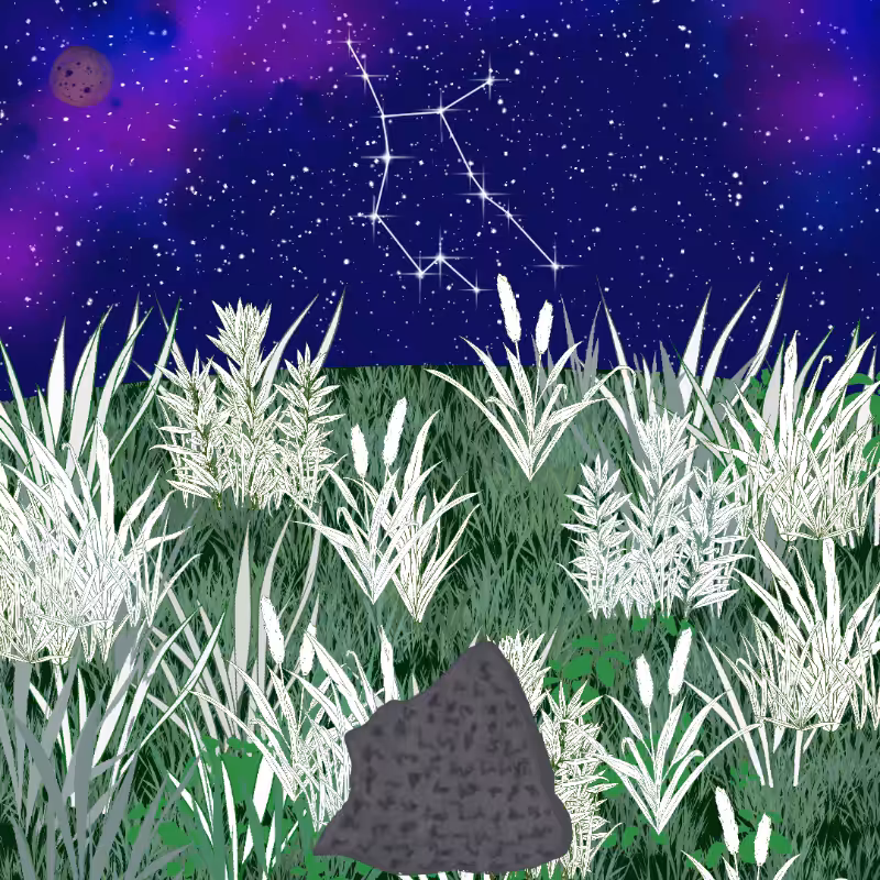 Zodiac #22