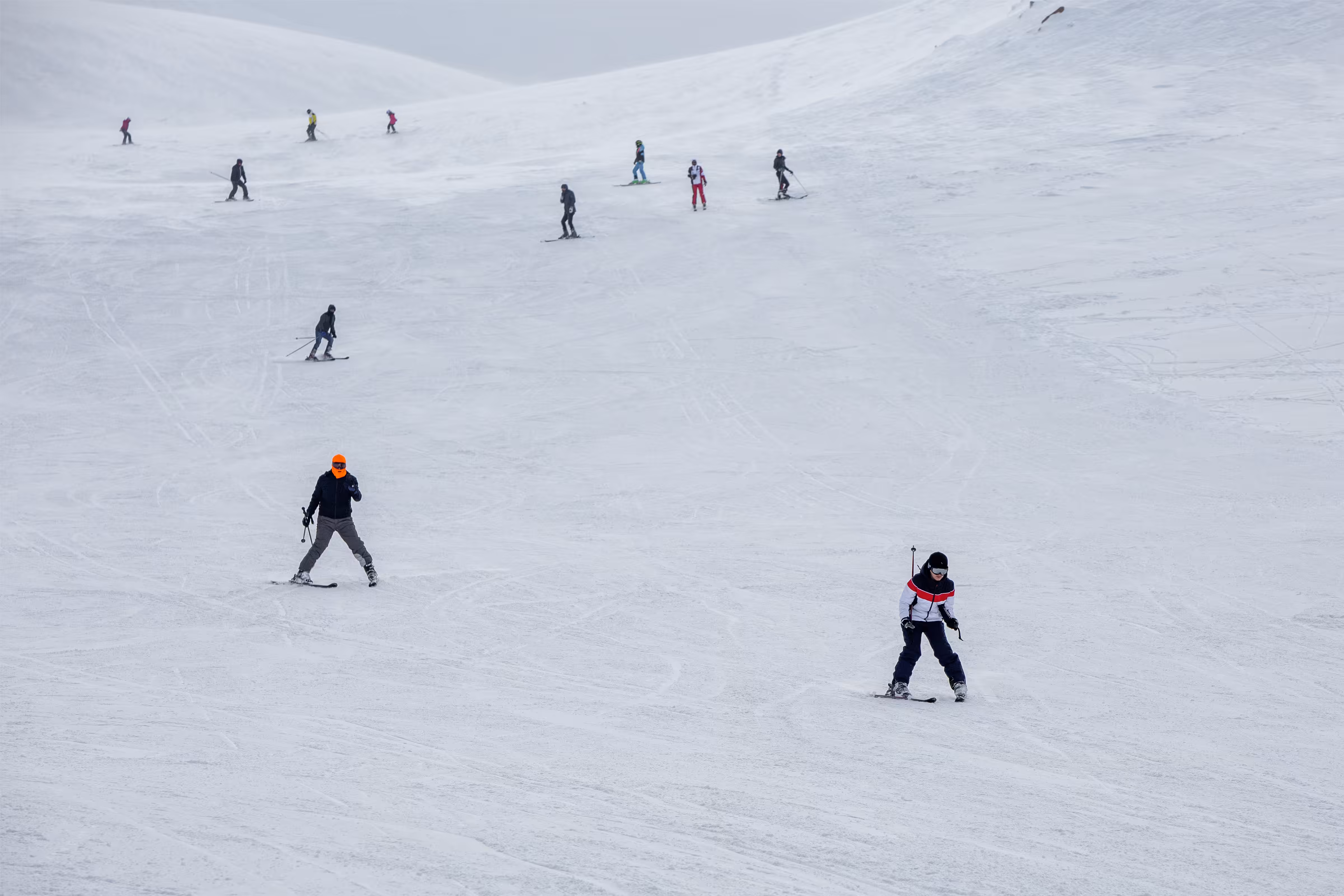 Edition: Snow Race