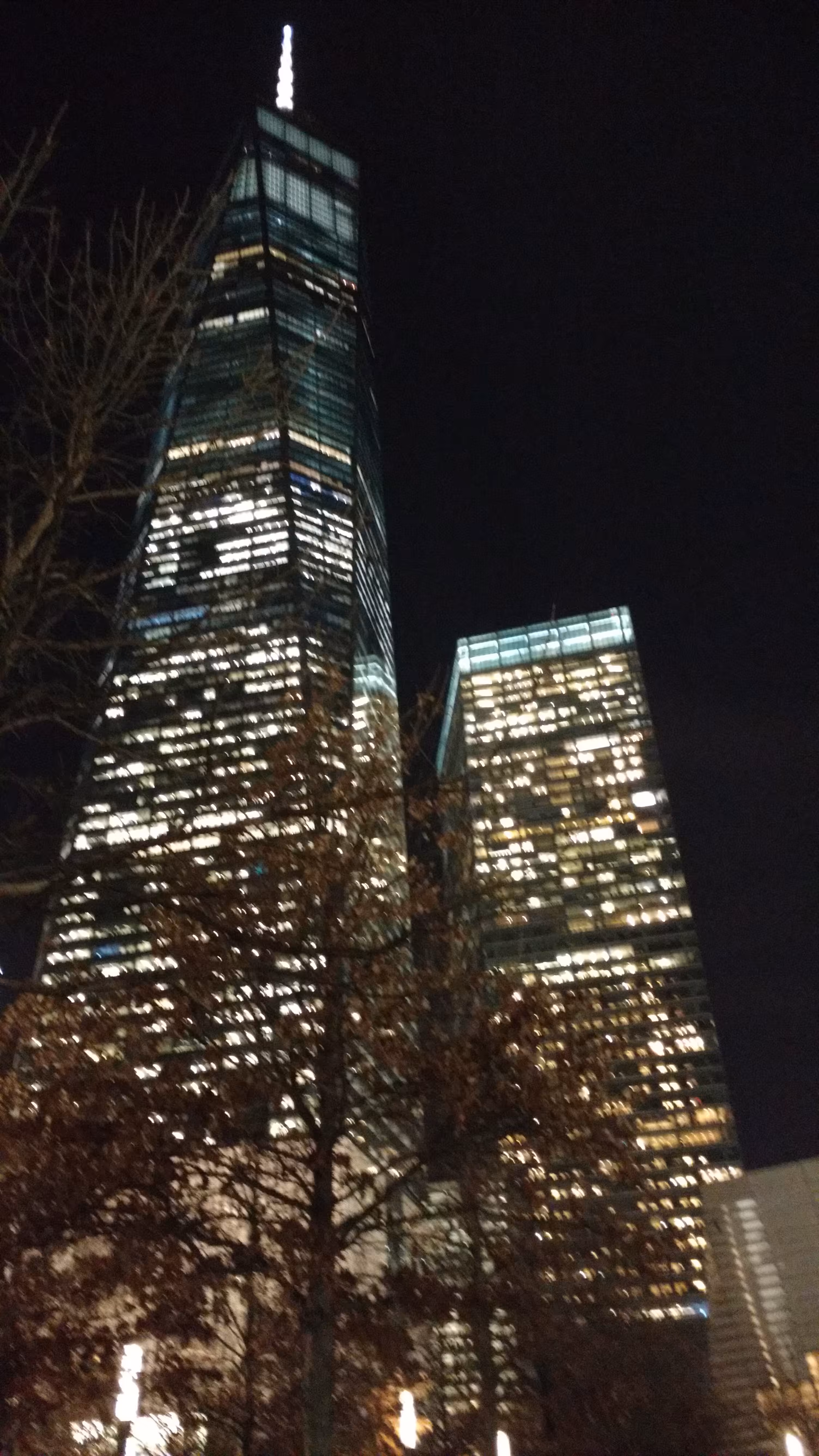 Looking up at freedom
