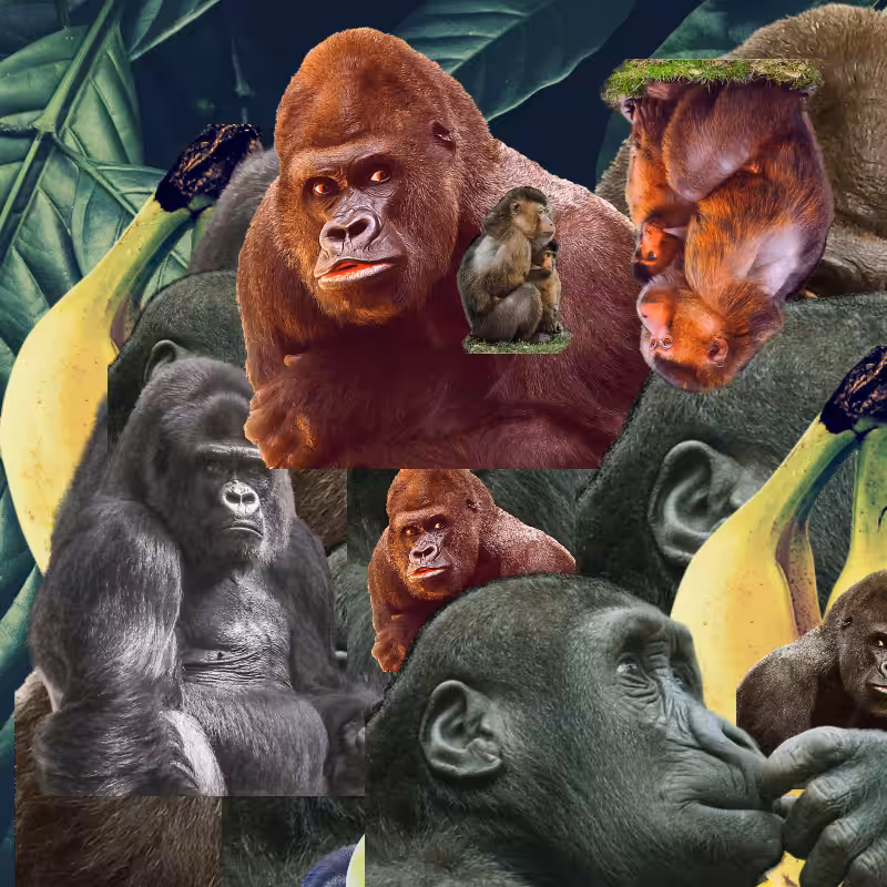 Banana #1 #19