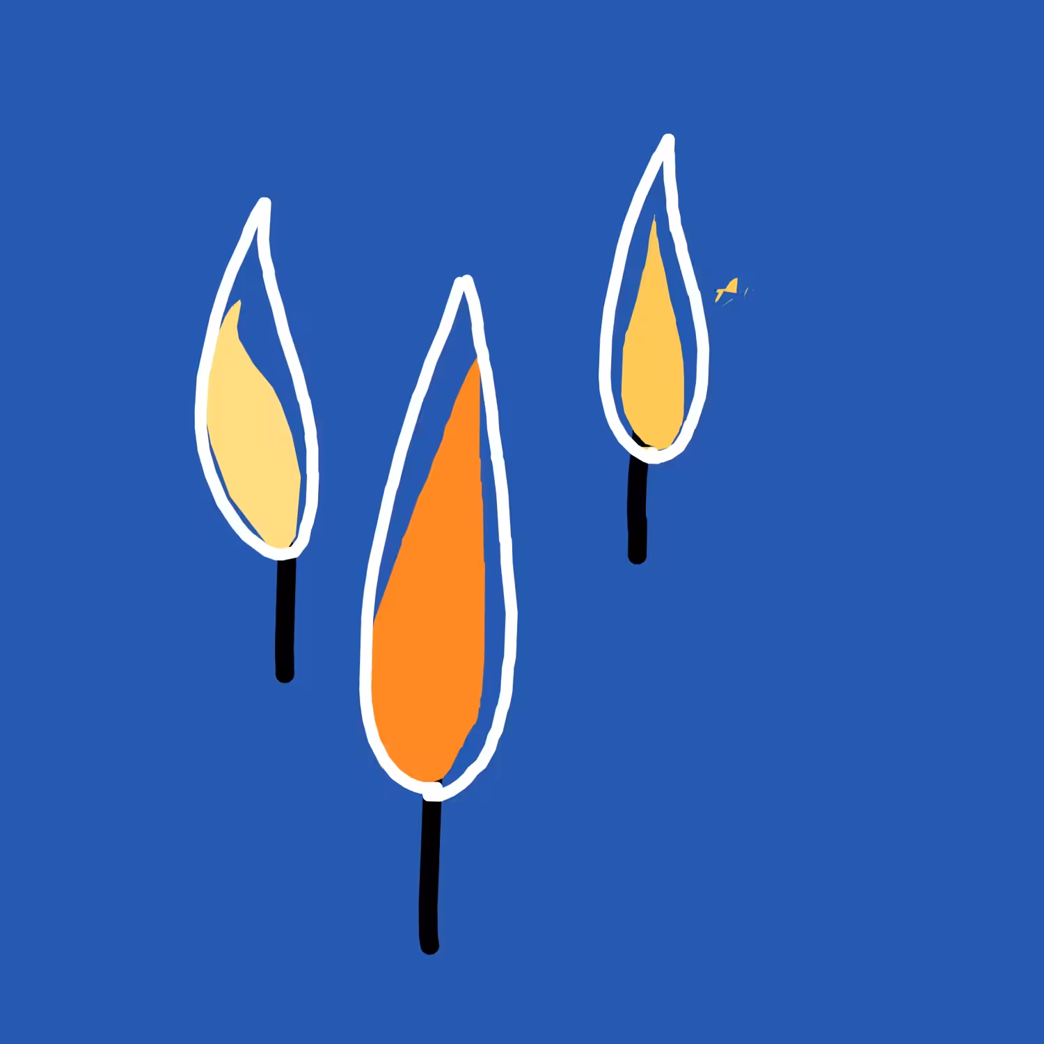 Hidy Candles