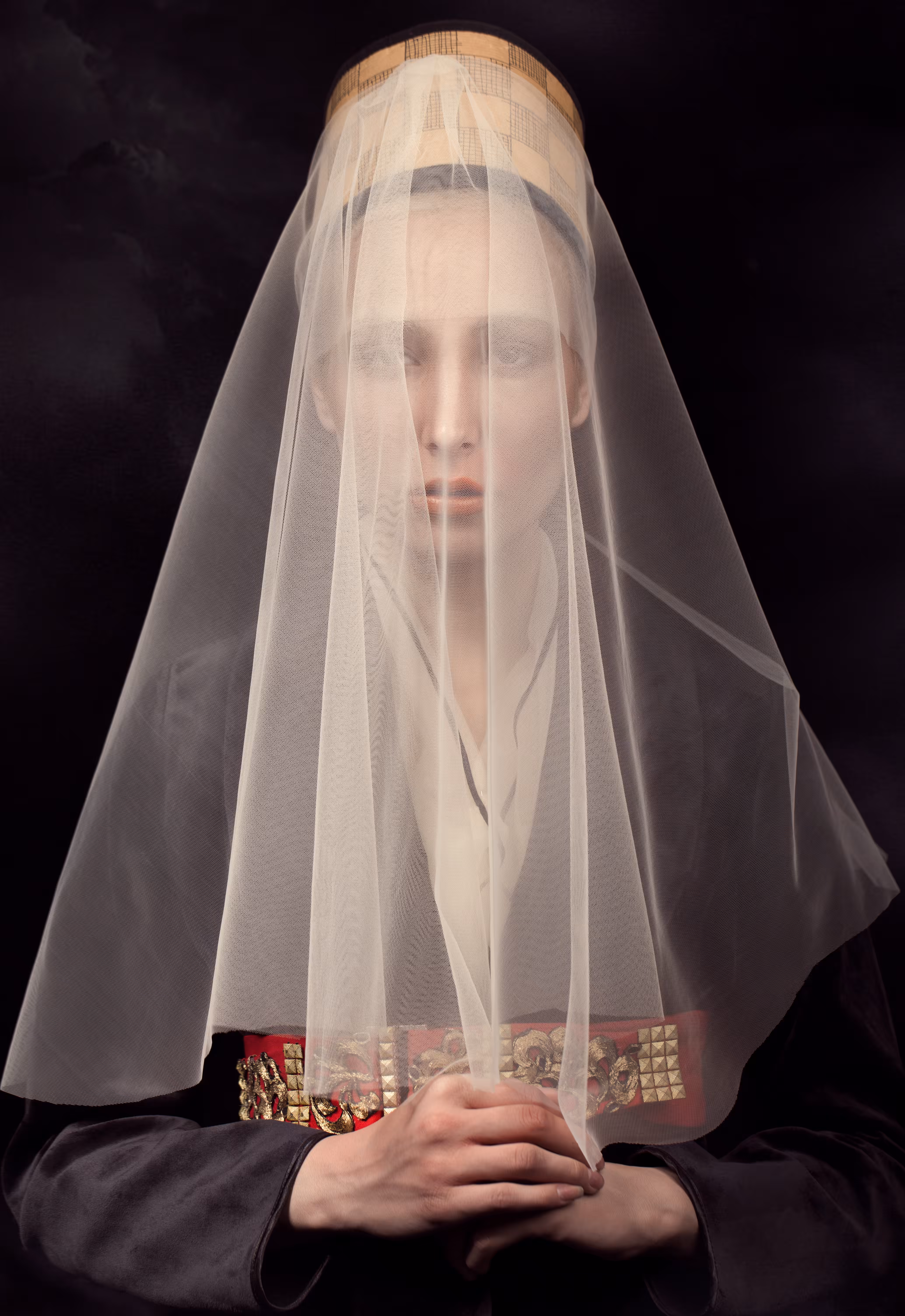 Portrait of A Lady