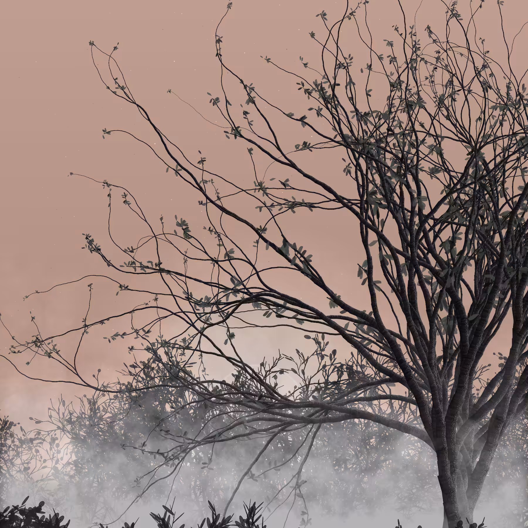 Morning Mist #263
