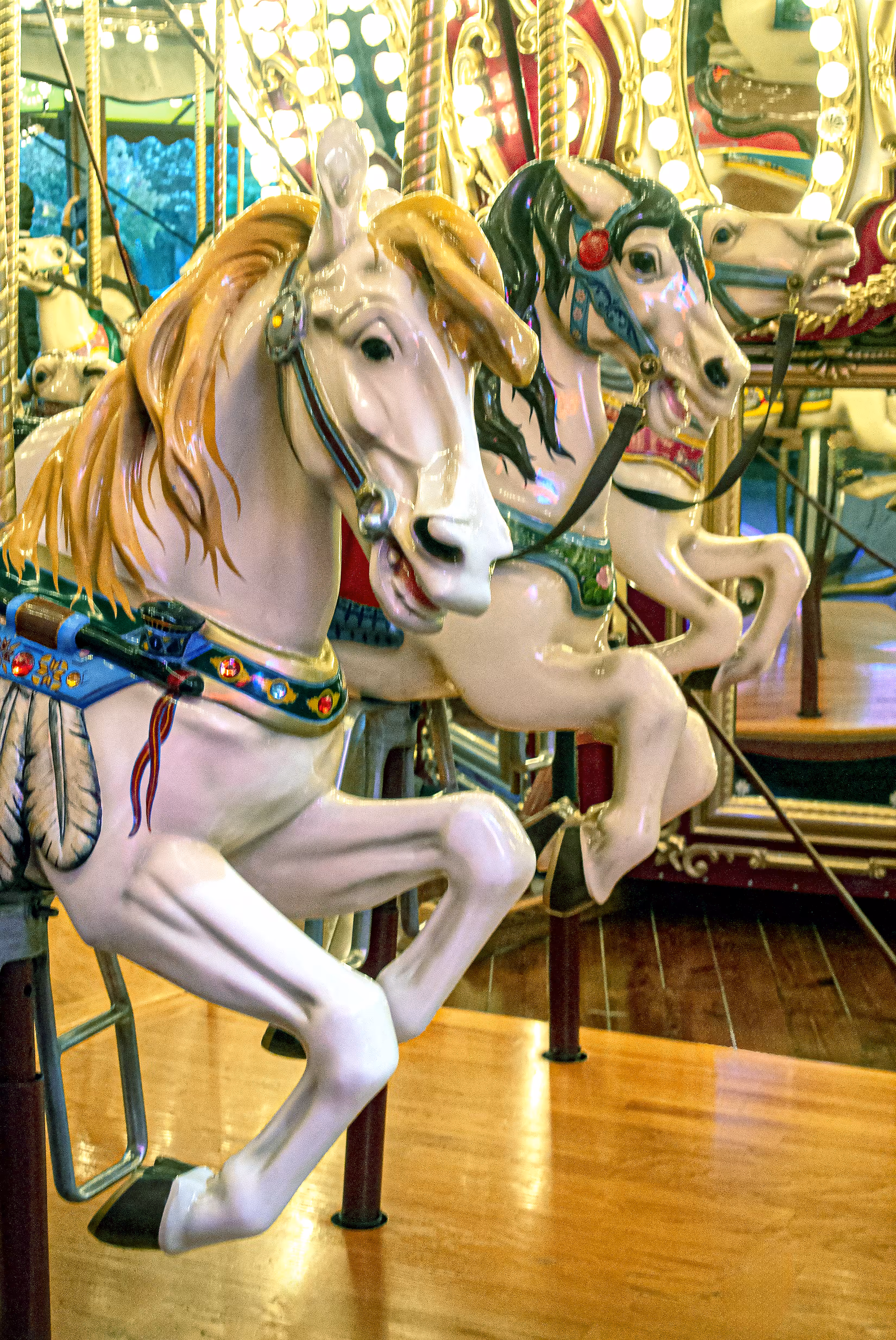 Carousel After Hours