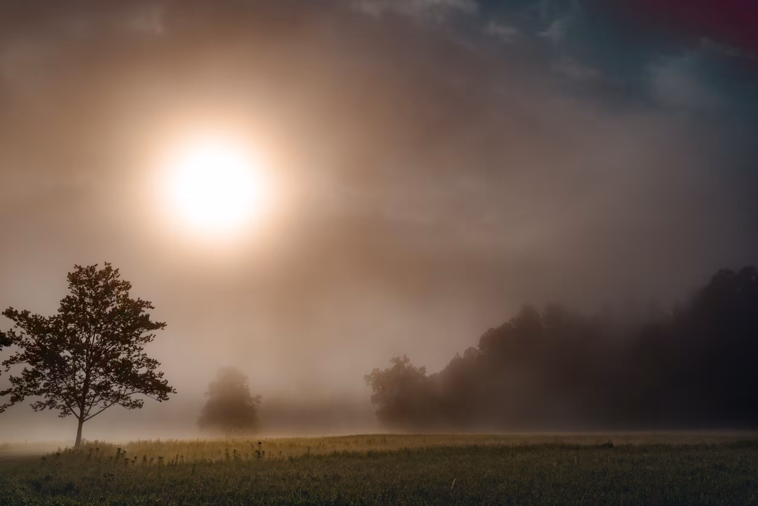 Mystical Fog
